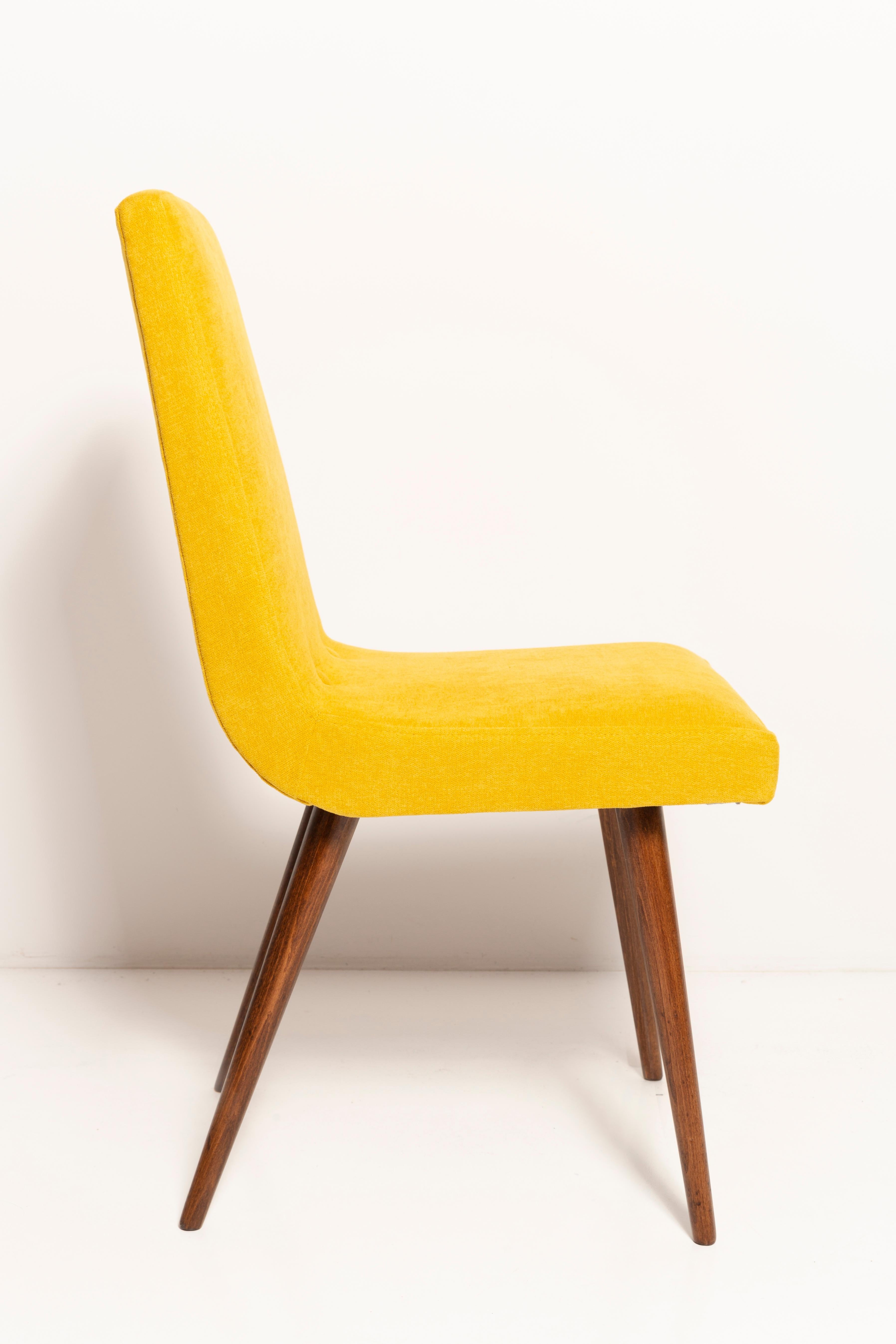 Hand-Crafted Set of Eight 20th Century Mustard Yellow Wool Chair, Rajmund Halas Europe, 1960s For Sale
