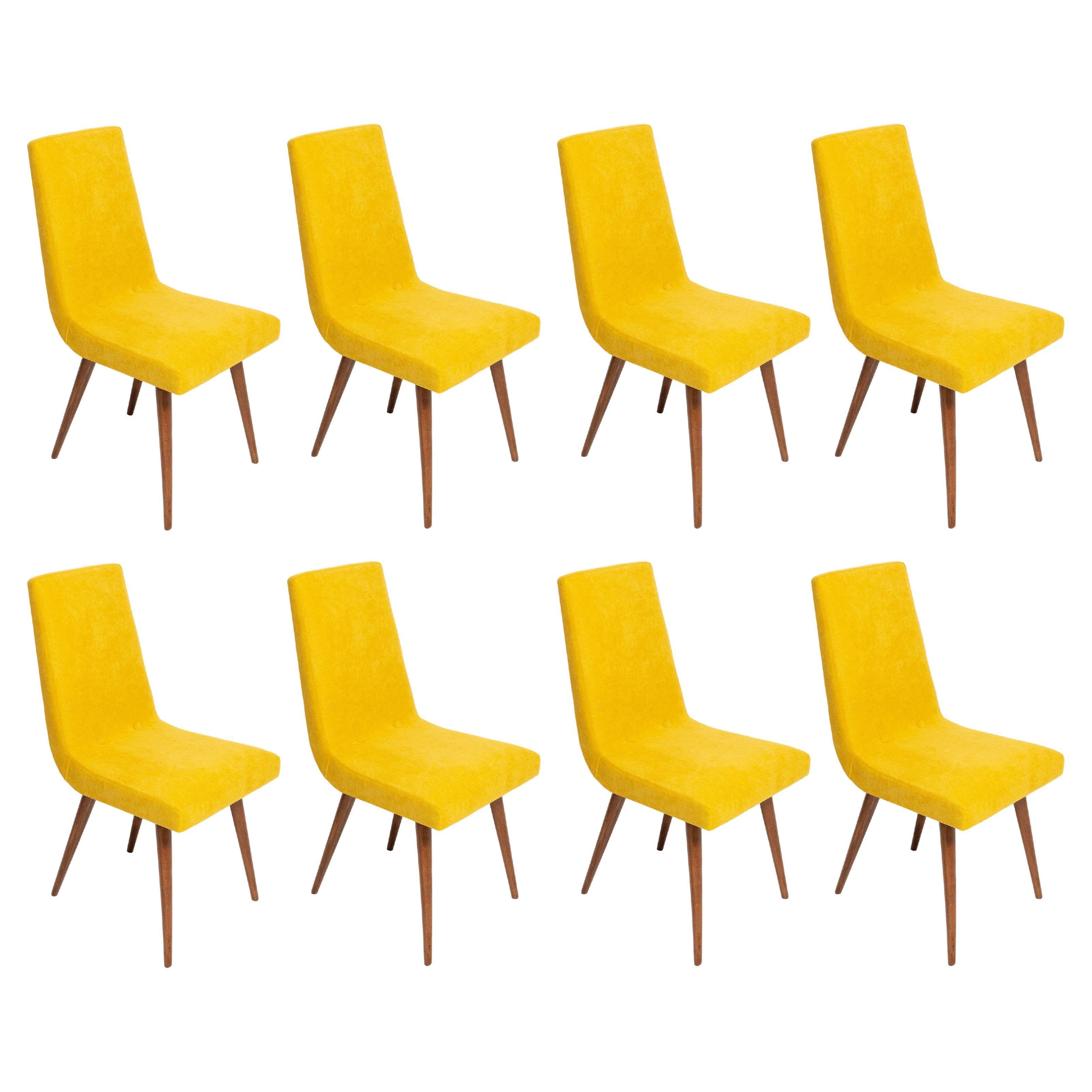 Set of Eight 20th Century Mustard Yellow Wool Chair, Rajmund Halas Europe, 1960s For Sale