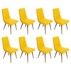 Set of Eight 20th Century Mustard Yellow Wool Chair, Rajmund Halas Europe, 1960s