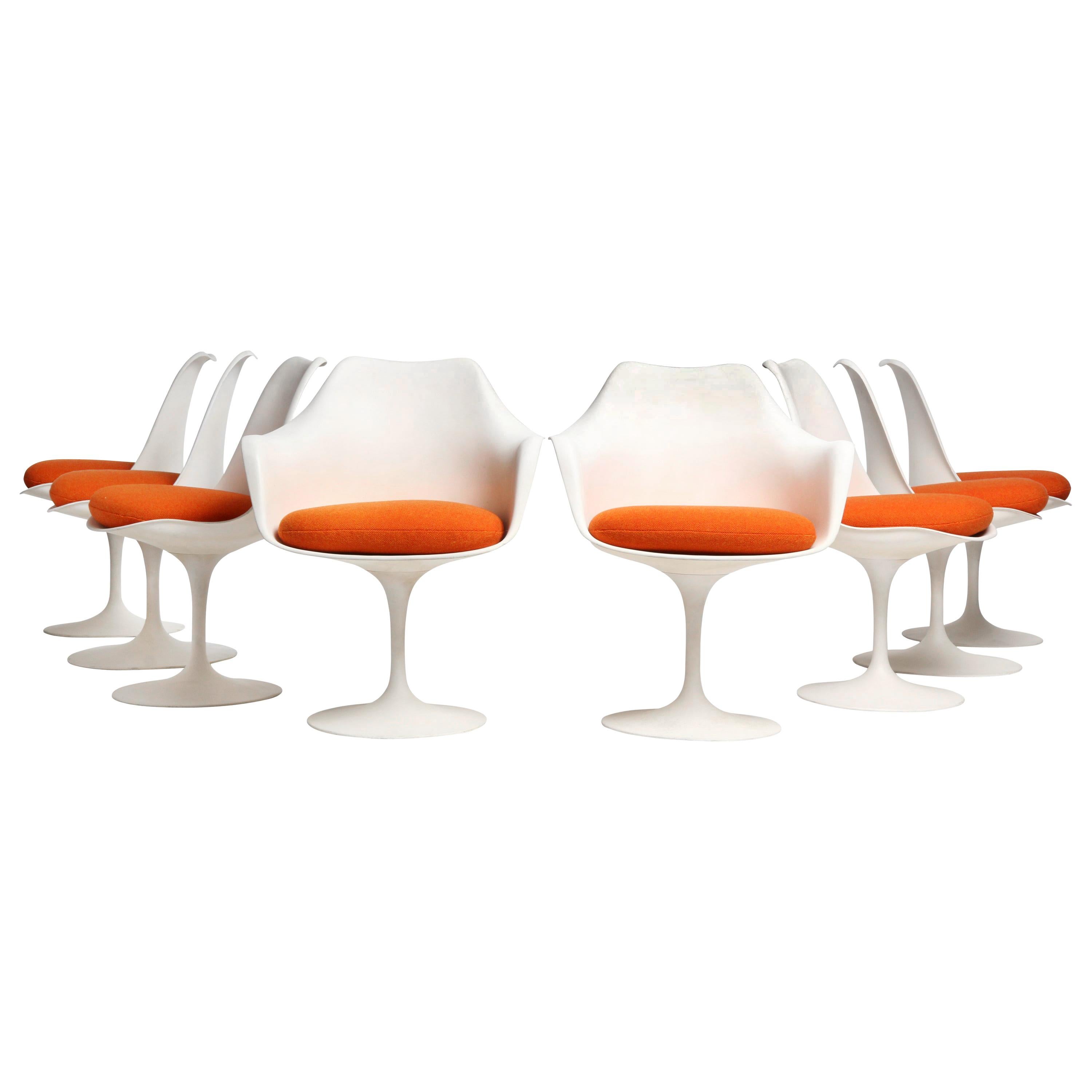 Set of 8 'Tulip' Chairs by Eero Saarinen for Knoll, 1956