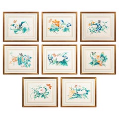 Set of Eight Antique Botanical gouache Studies of Flowers and Butterflies