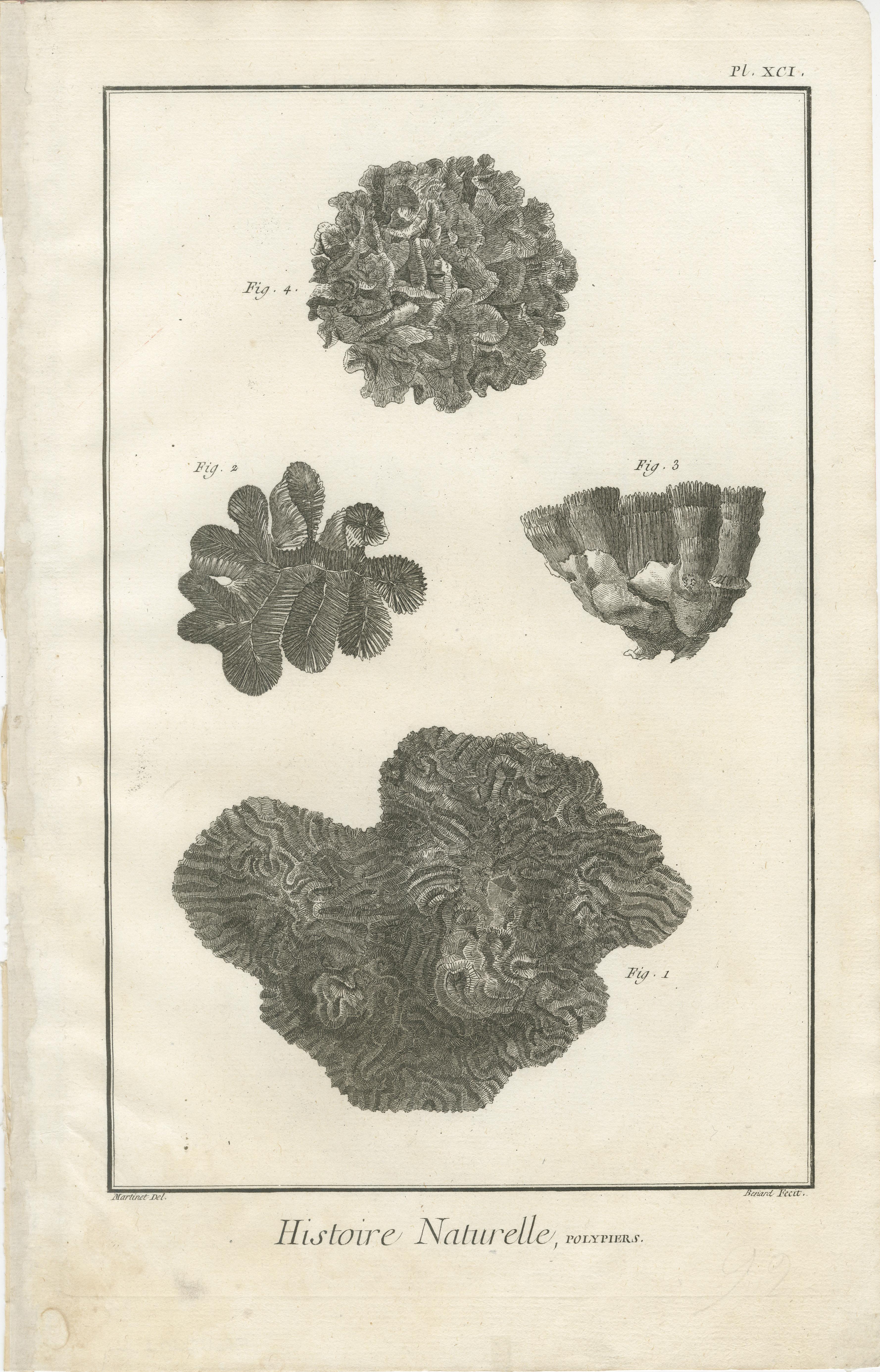 Papier Ensemble de huit gravures anciennes de coraux tirées de l'Encyclopédie de Diderot, vers 1770 en vente