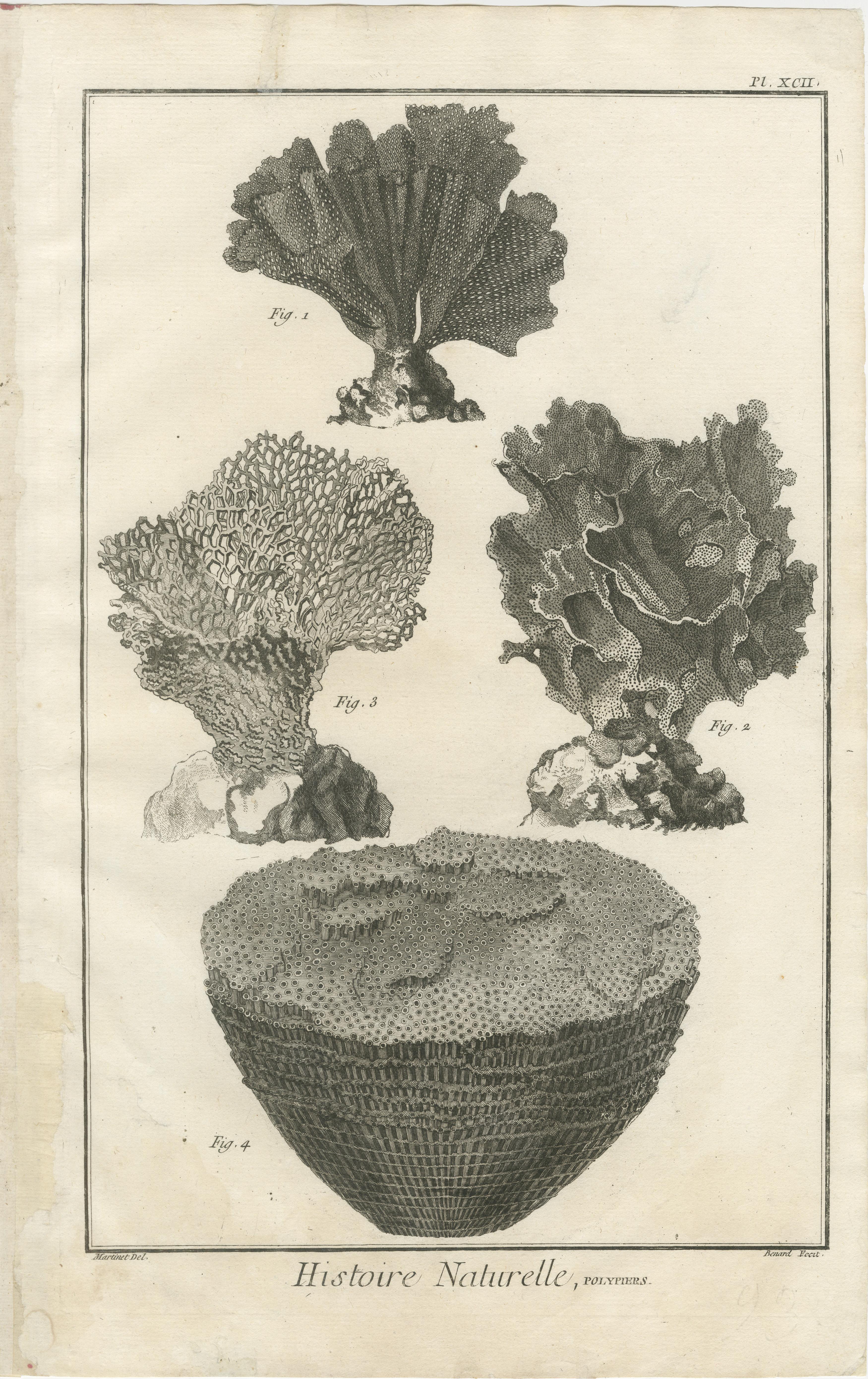 Ensemble de huit gravures anciennes de coraux tirées de l'Encyclopédie de Diderot, vers 1770 en vente 1