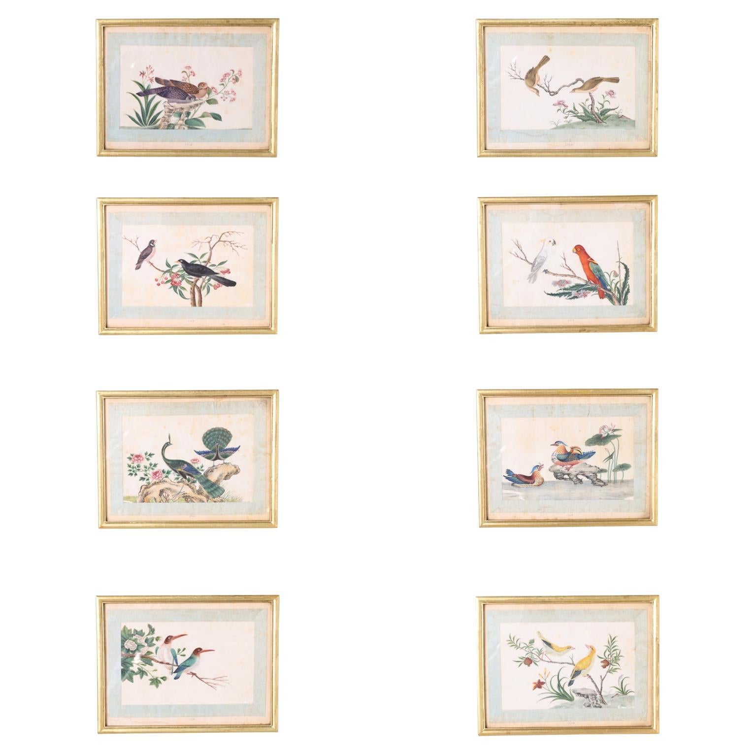 Set von acht antiken japanischen Vogelgemälden im Angebot