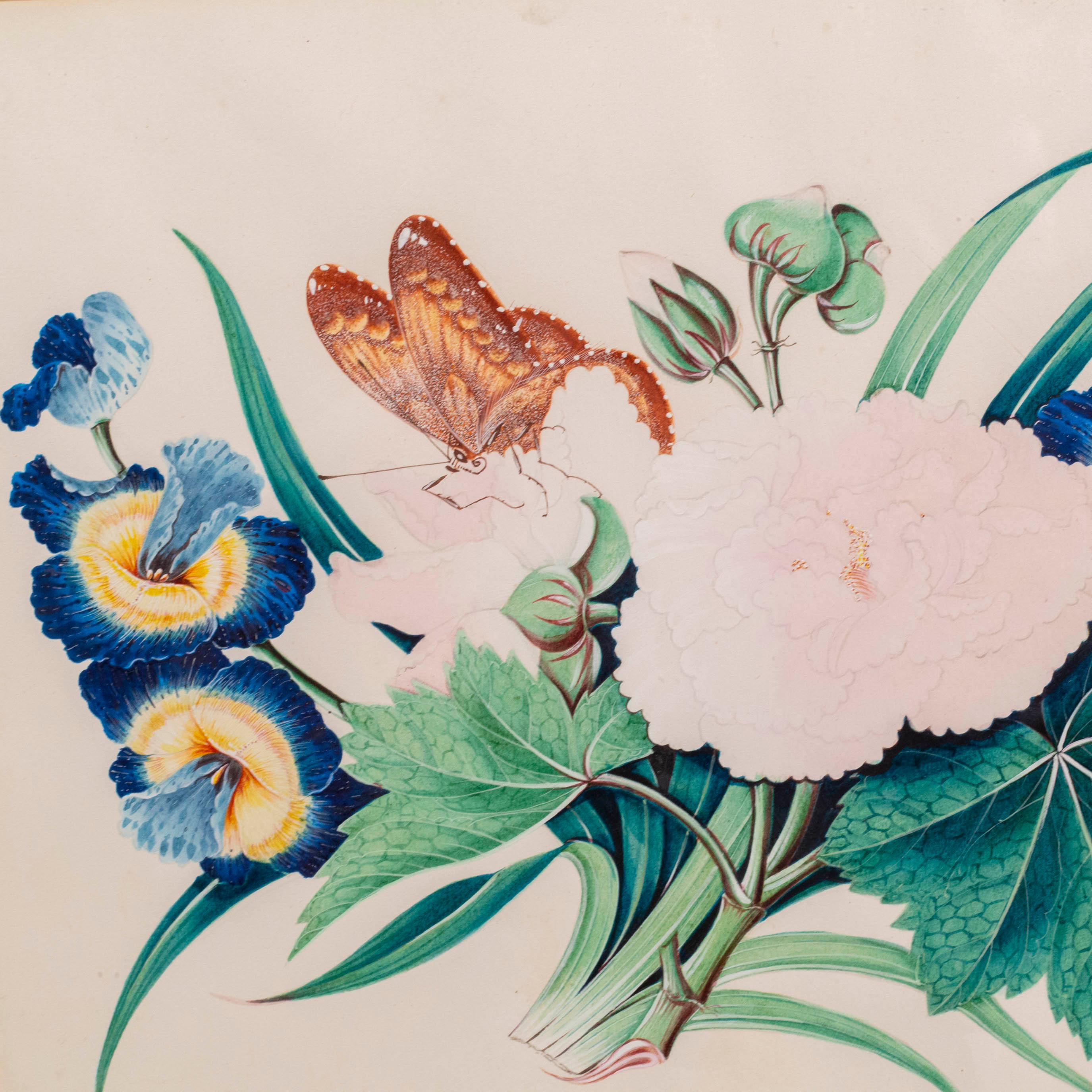 XX secolo Immagini di fiori e farfalle dipinte a mano in vendita