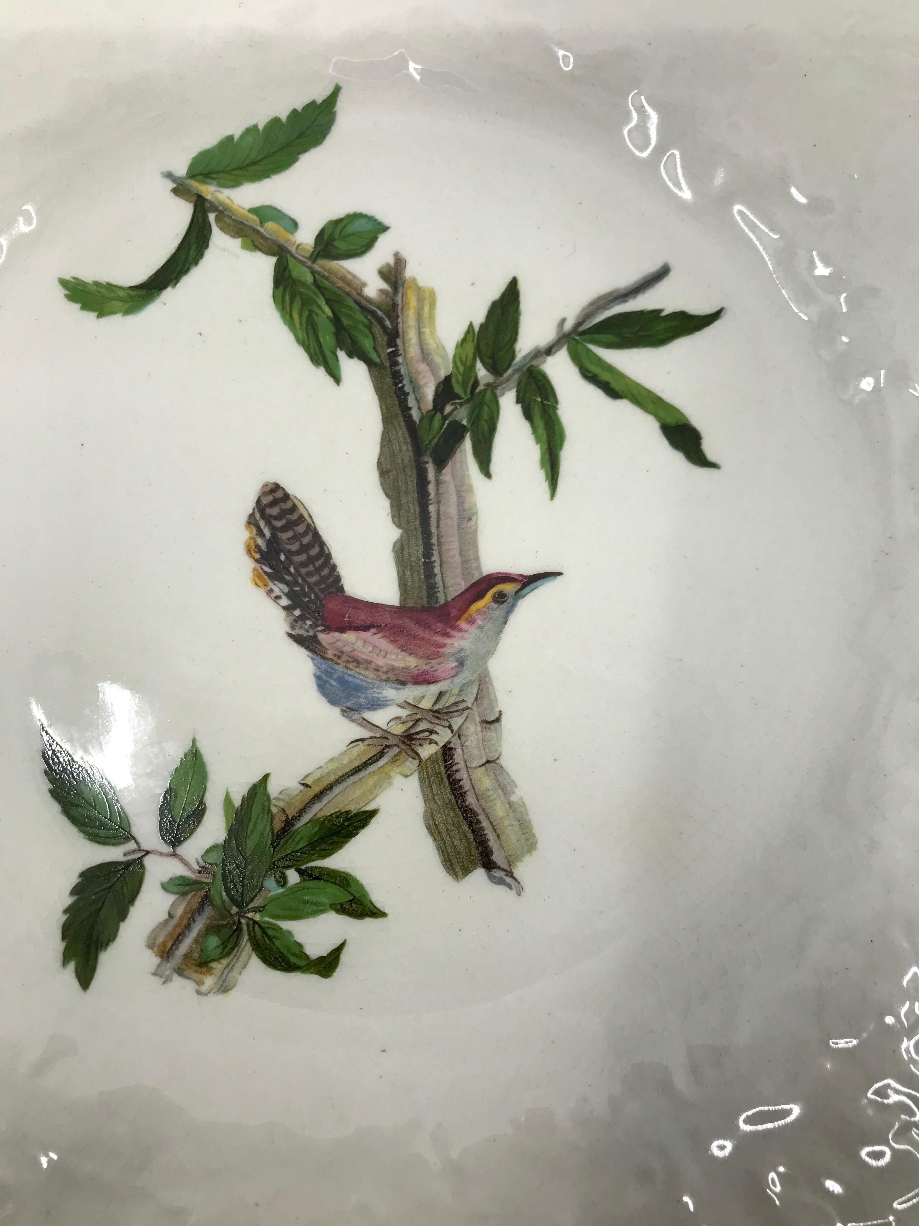 Set of Eight Audubon Bird Dinner Plates 4