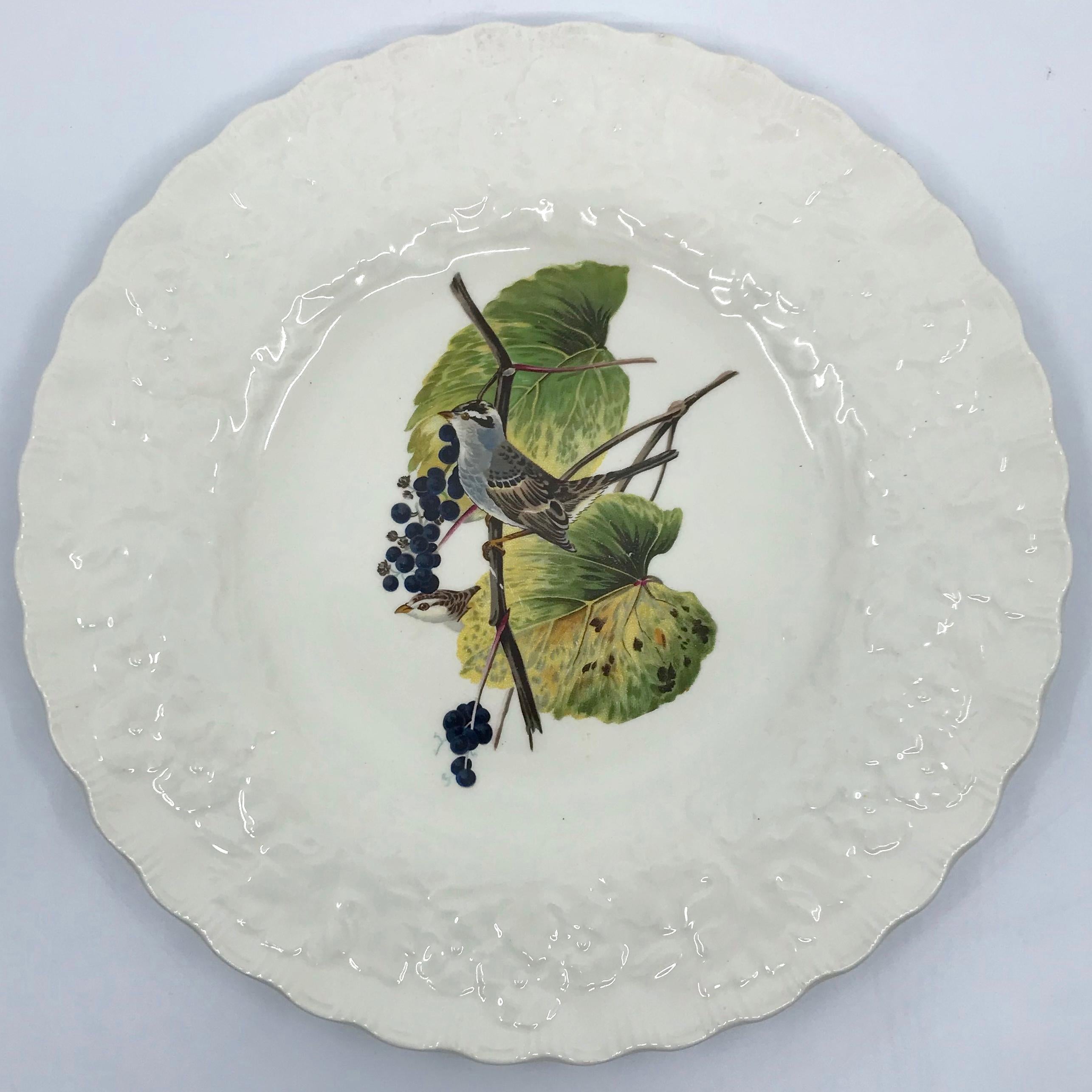 Set of eight Audubon birds of America plates in cream with raised floral border centering on eight different birds. Alfred Meakin, Some crazing commensurate with age. England, circa 1940.
One cedar bird #43
One band tailed pigeon #62
One white