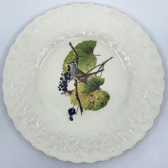 Set of Eight Audubon Bird Dinner Plates