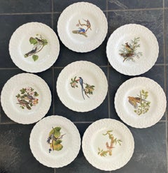 Set of Eight Audubon Bird Dinner Plates