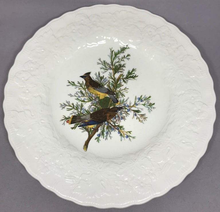 Set of Eight Audubon Bird Dinner Plates at 1stDibs