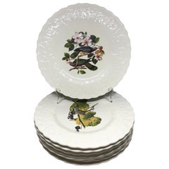 Vintage Set of Eight Audubon Bird Dinner Plates