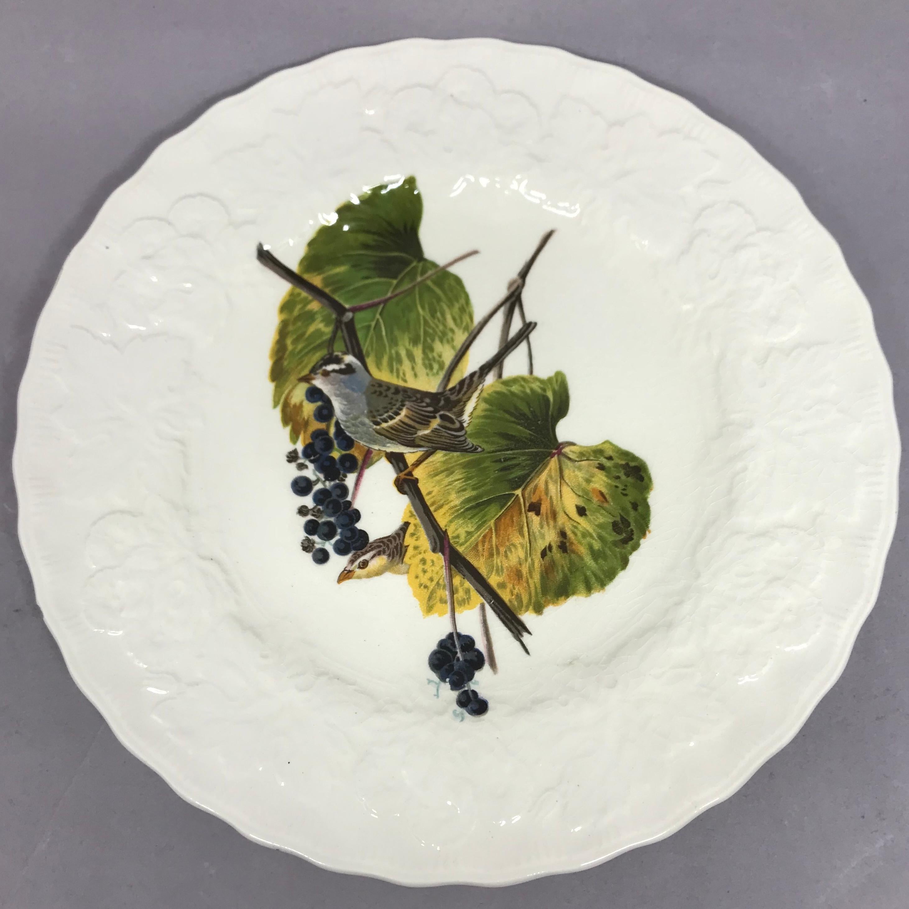 English Set of Eight Audubon Bird Luncheon Plates