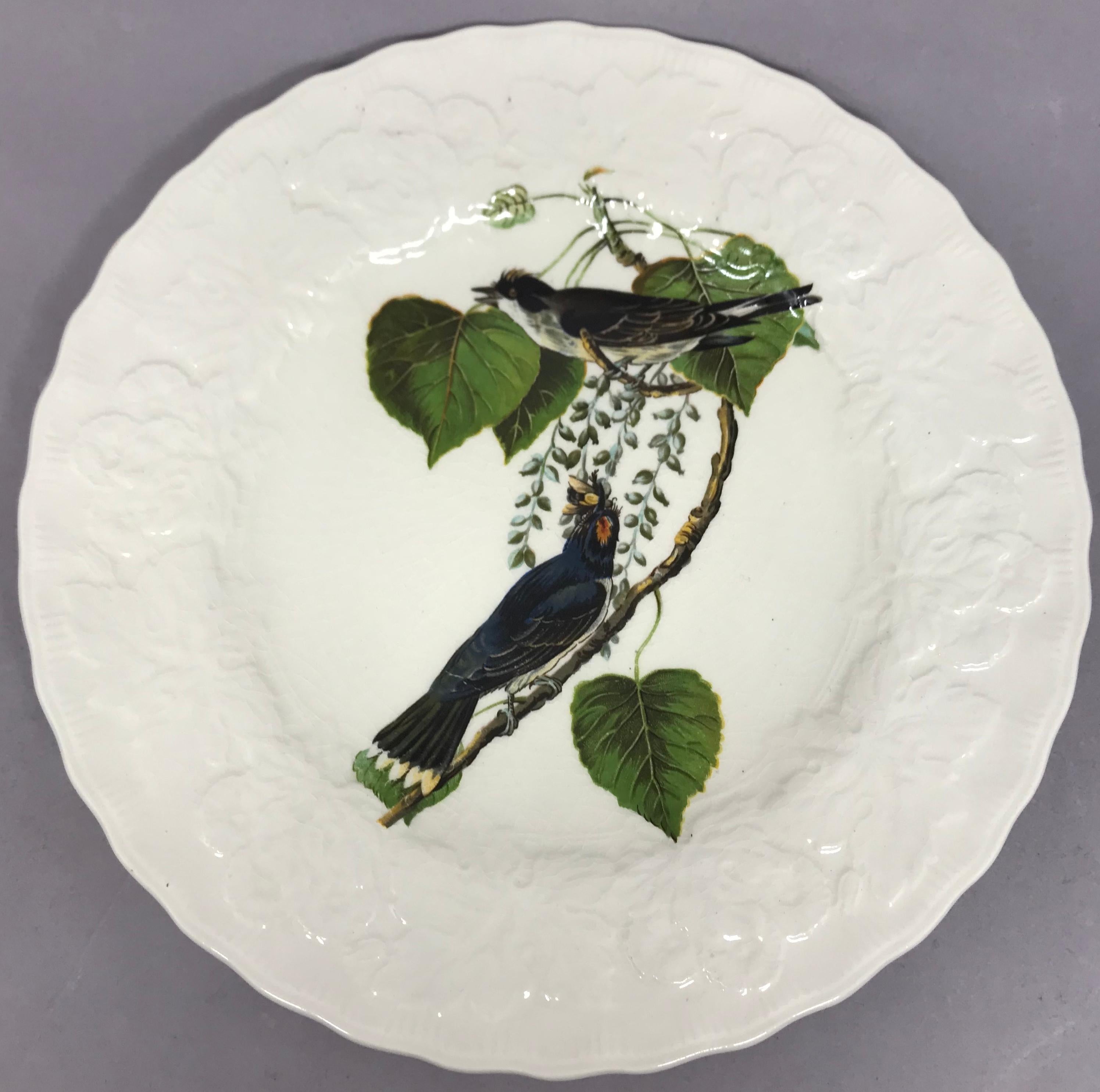 Set of Eight Audubon Bird Luncheon Plates In Good Condition In New York, NY