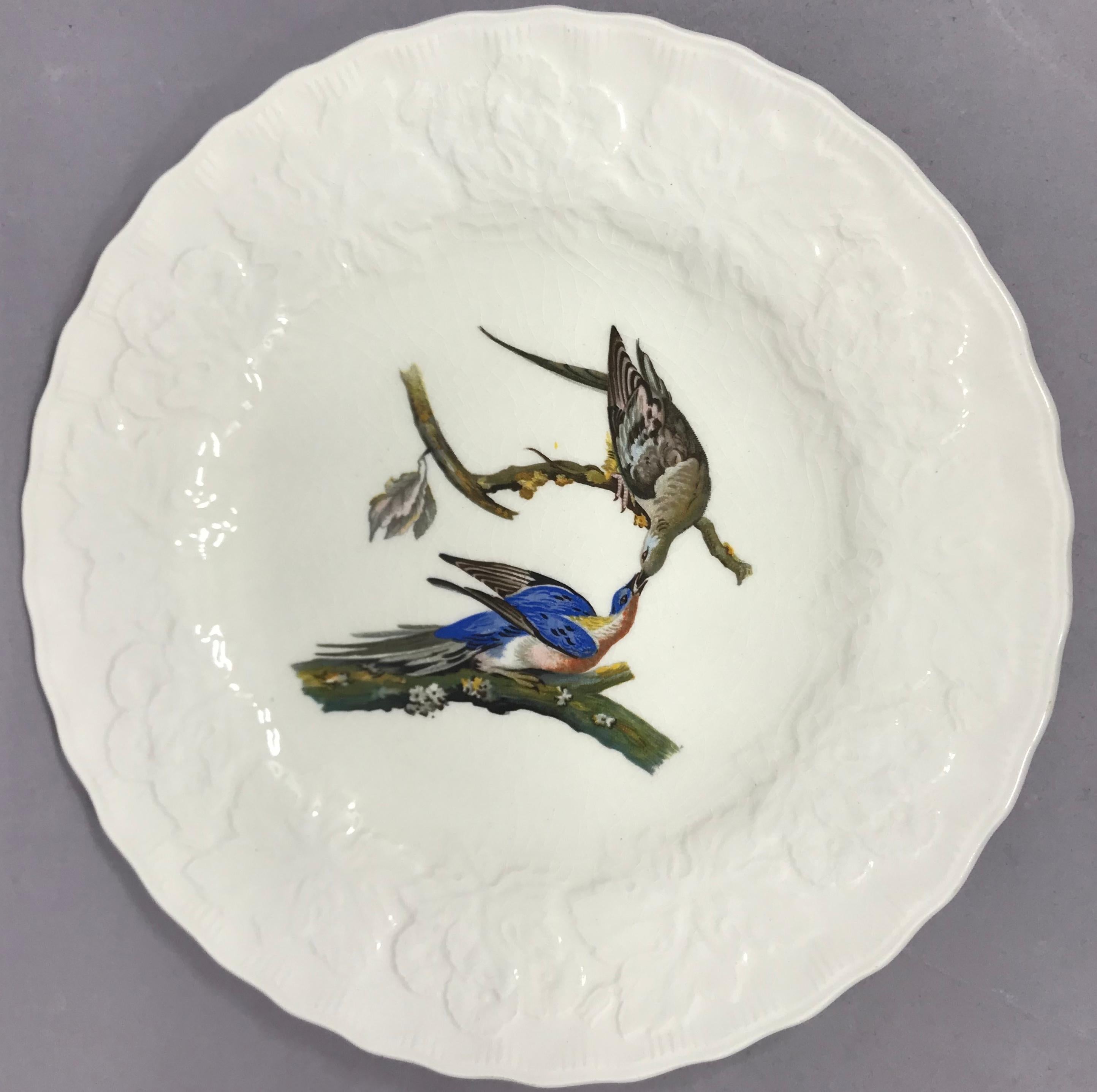 Set of Eight Audubon Bird Luncheon Plates 1