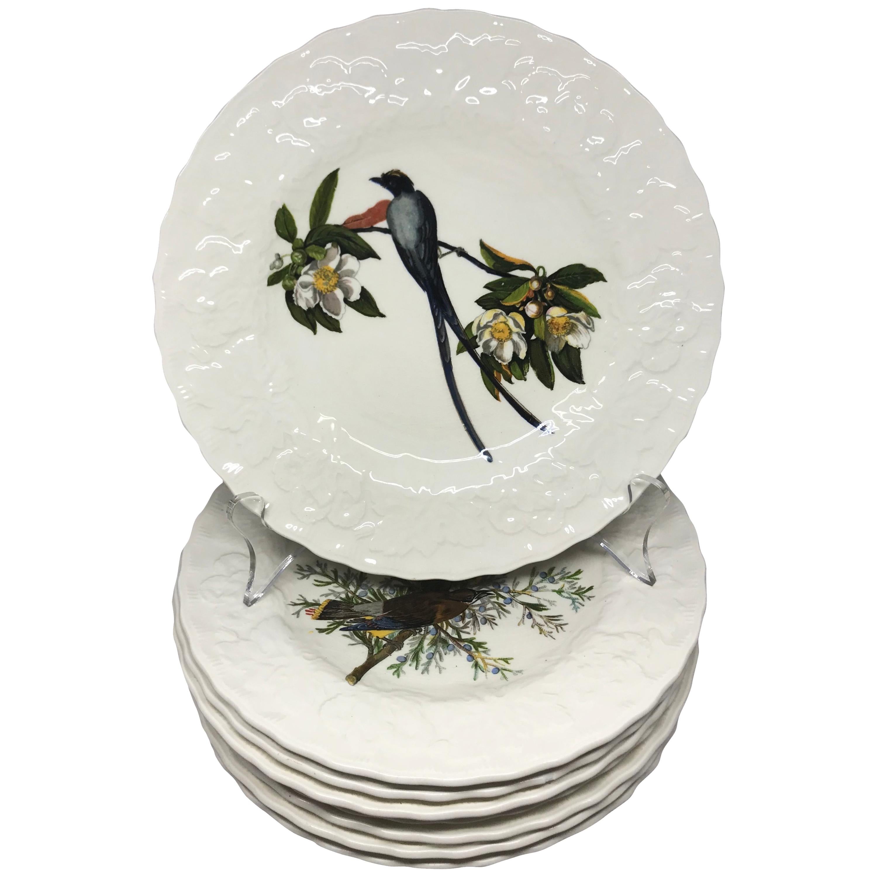 Set of Eight Audubon Bird Luncheon Plates