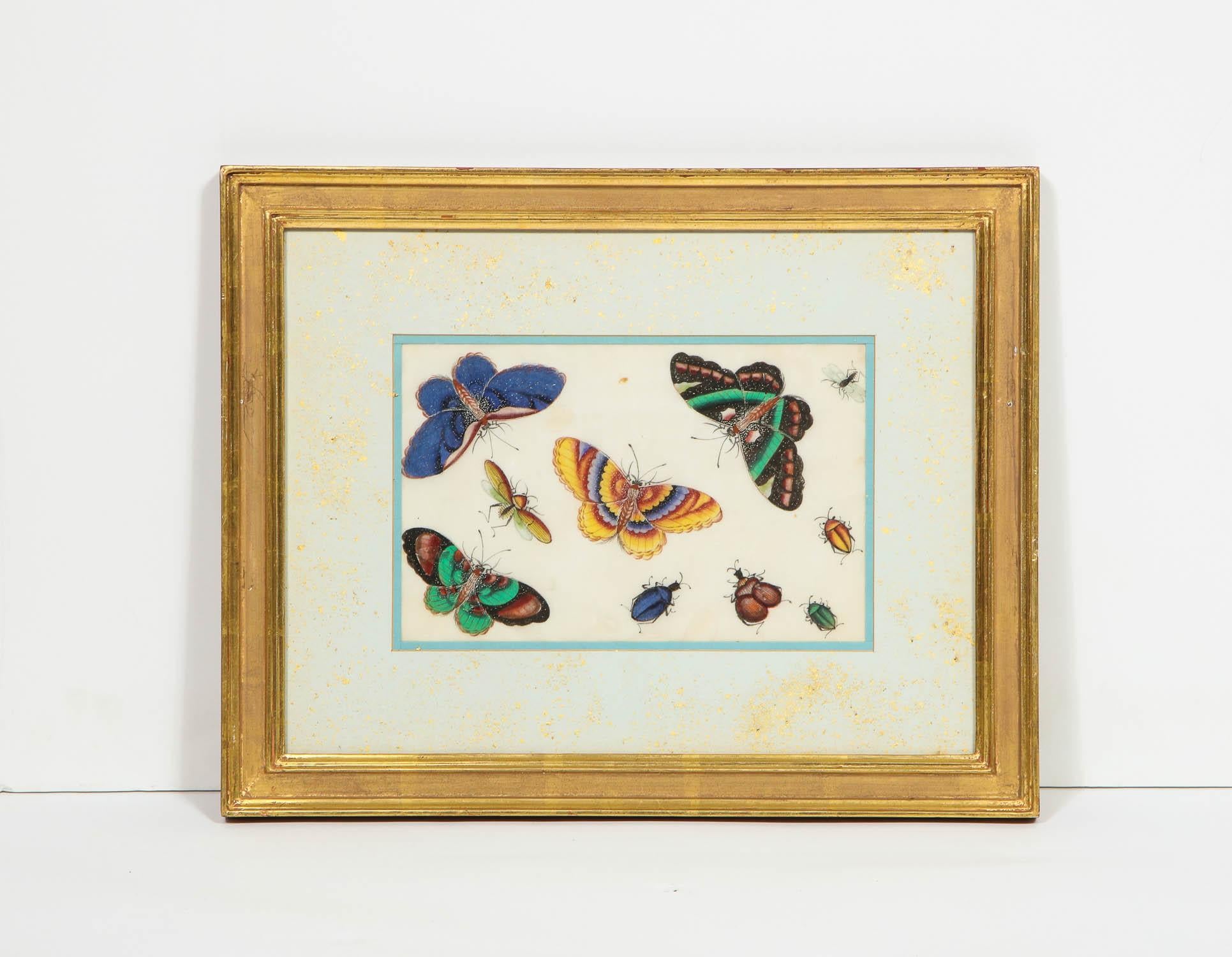 Set of Eight Chinese Rice Paper Paintings of Butterflies and Insects 5
