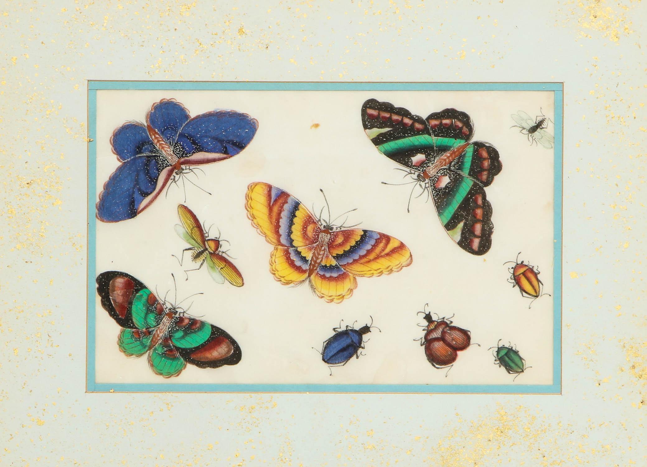 Set of Eight Chinese Rice Paper Paintings of Butterflies and Insects 6