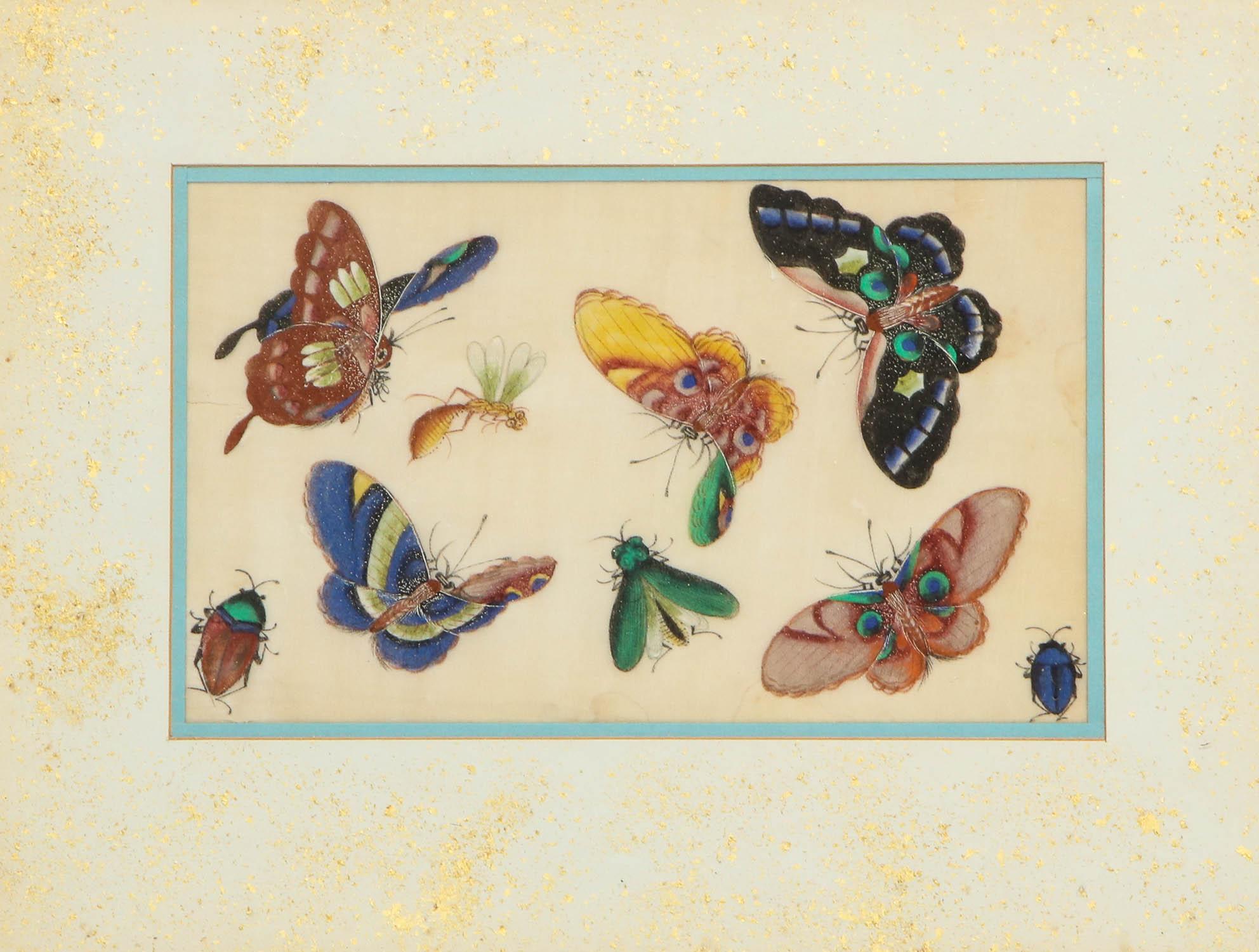 Set of Eight Chinese Rice Paper Paintings of Butterflies and Insects 8