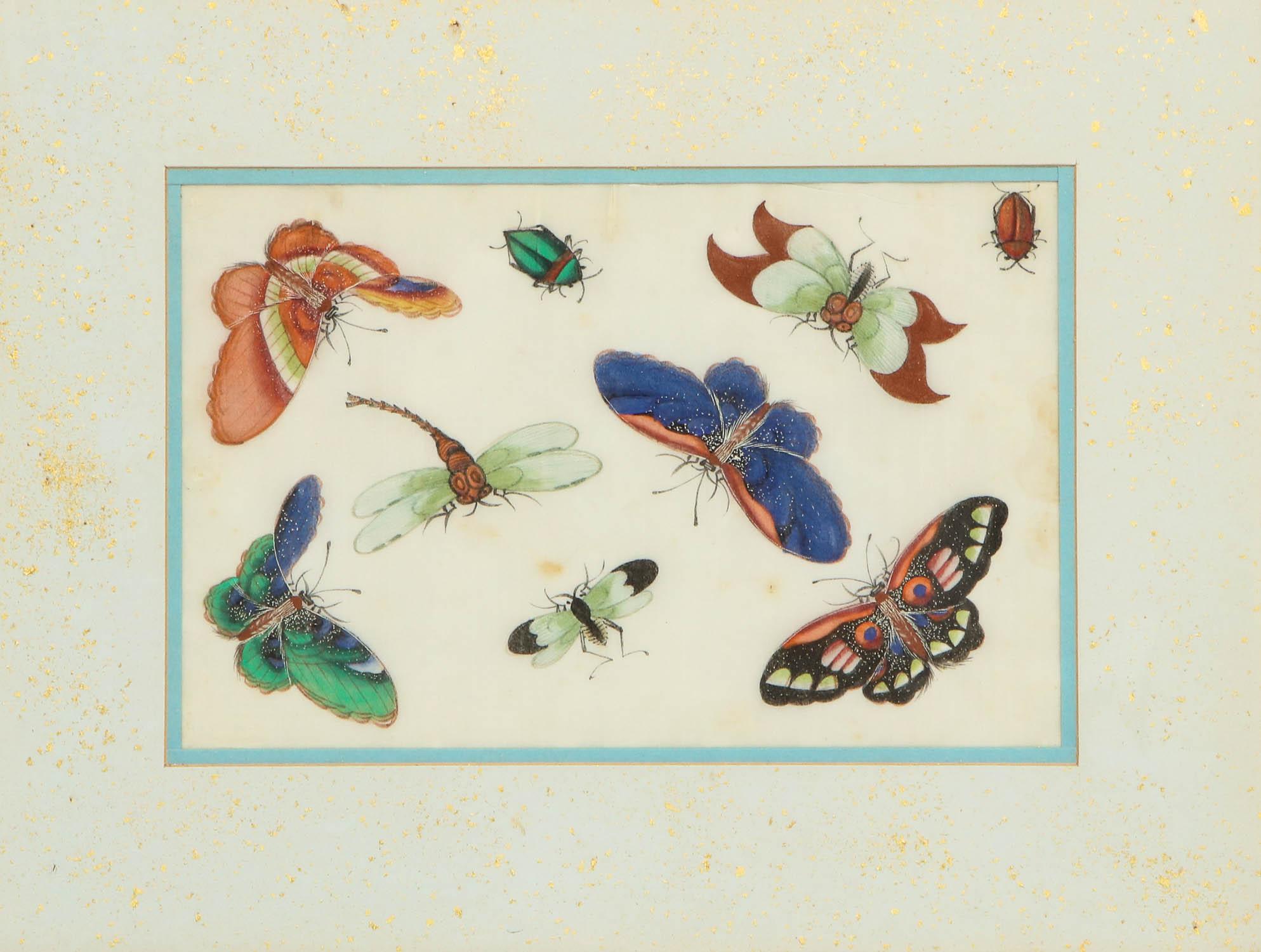 Set of Eight Chinese Rice Paper Paintings of Butterflies and Insects 10