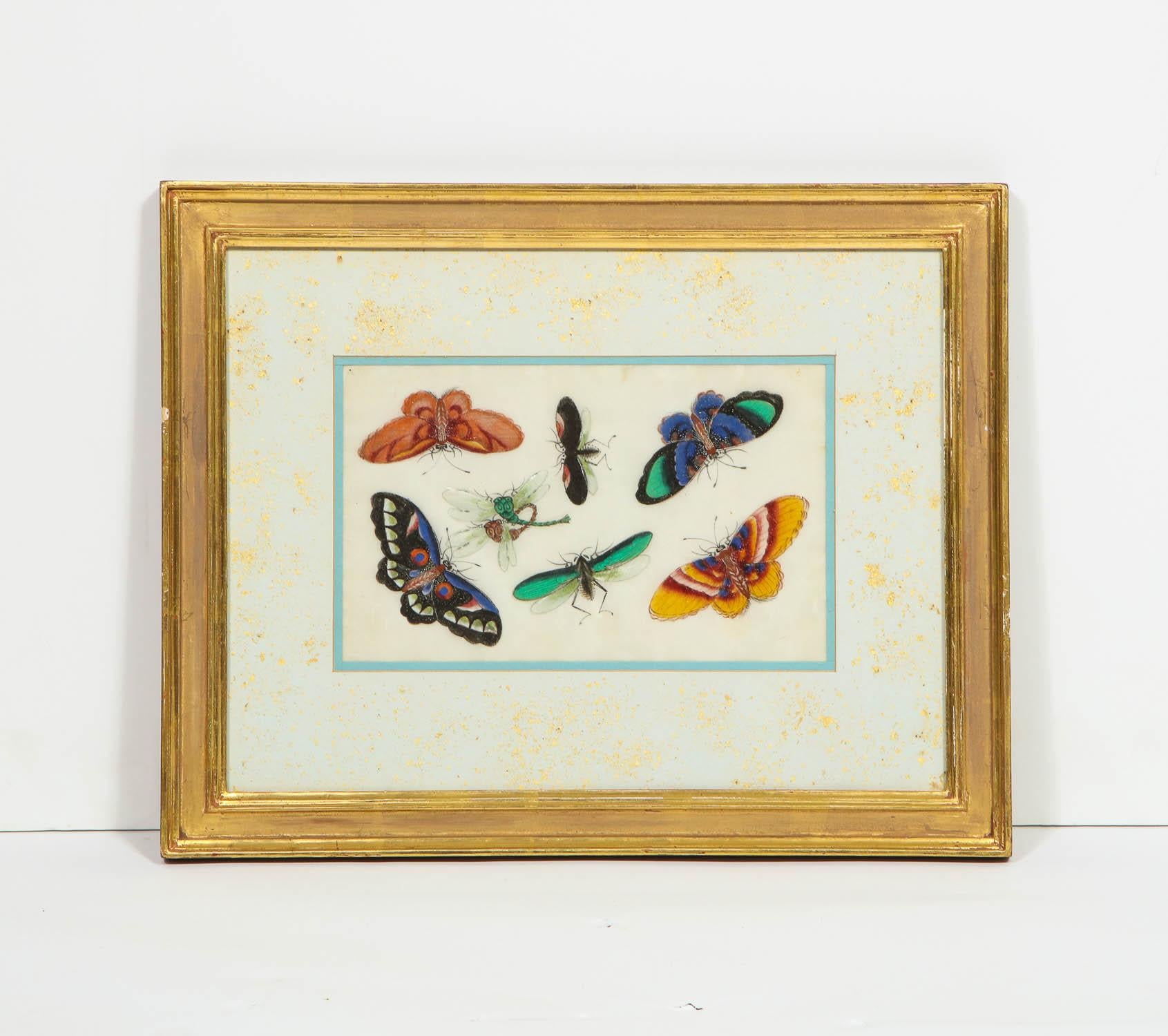 Set of Eight Chinese Rice Paper Paintings of Butterflies and Insects at
