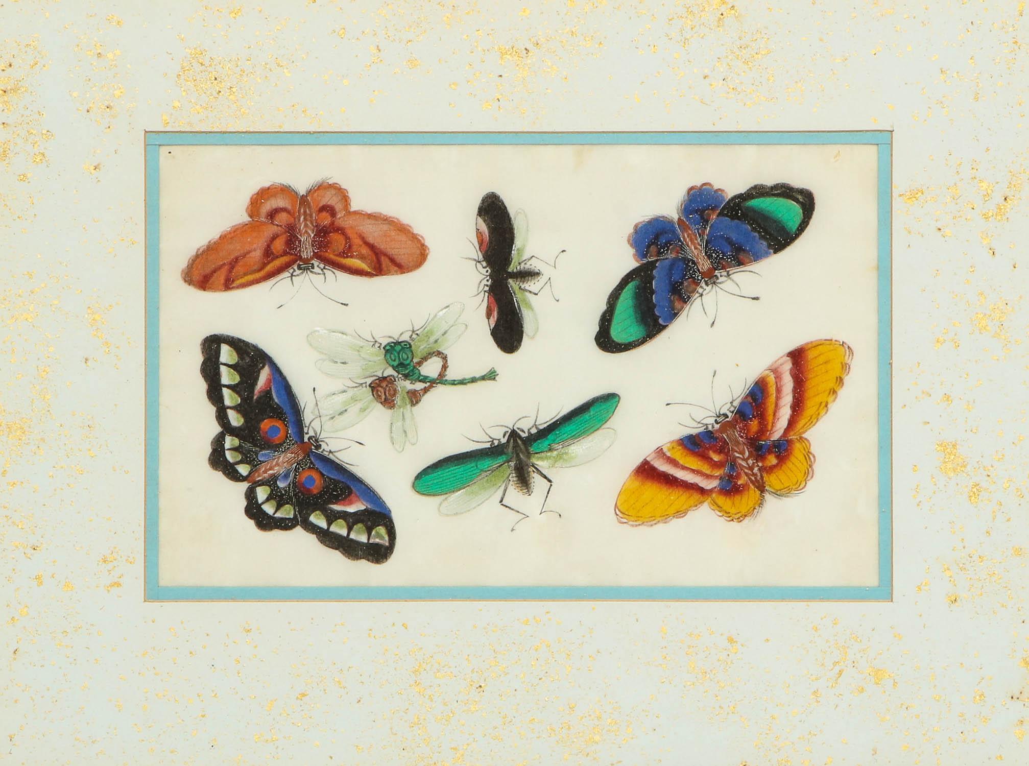 Set of Eight Chinese Rice Paper Paintings of Butterflies and Insects at
