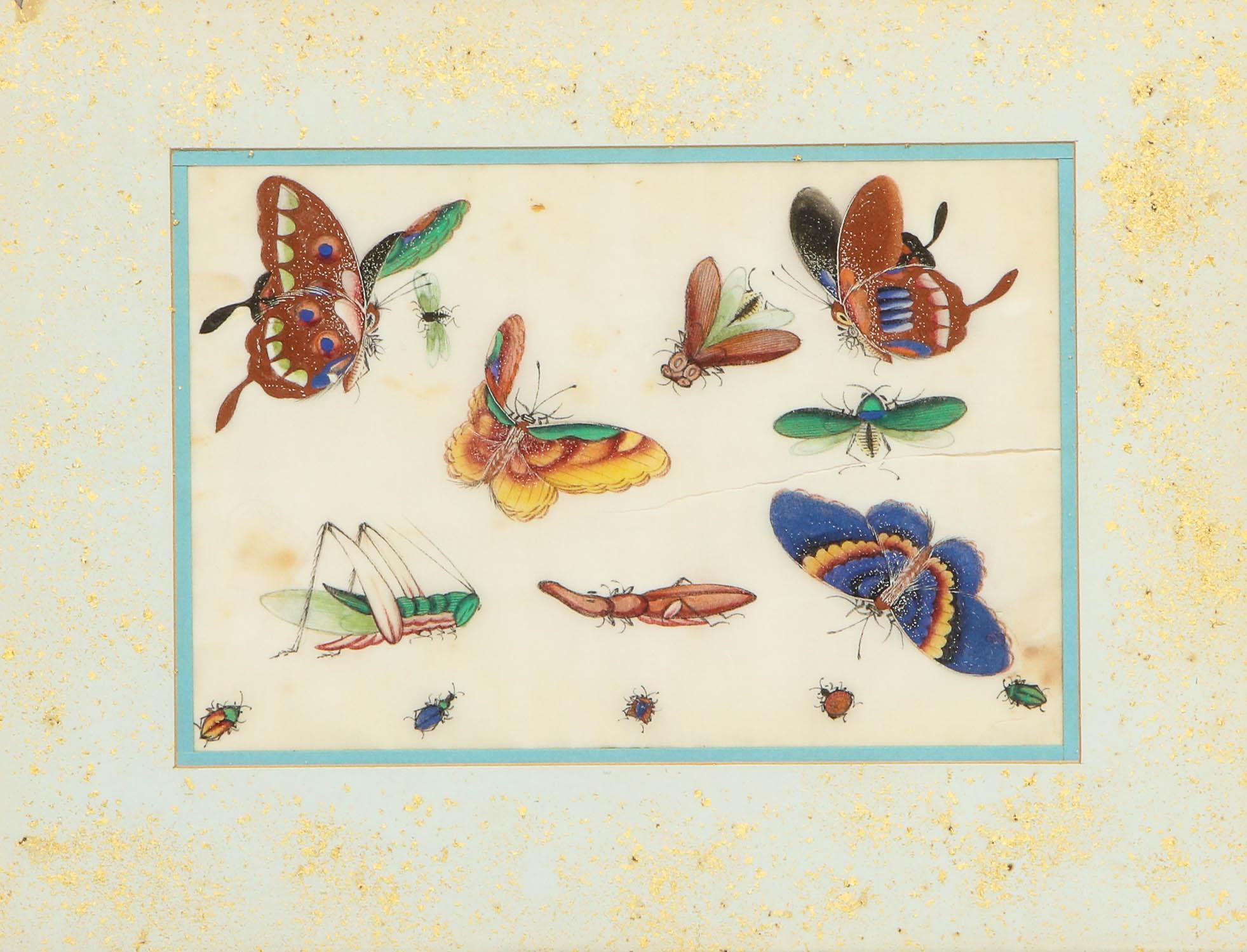 Set of Eight Chinese Rice Paper Paintings of Butterflies and Insects 14