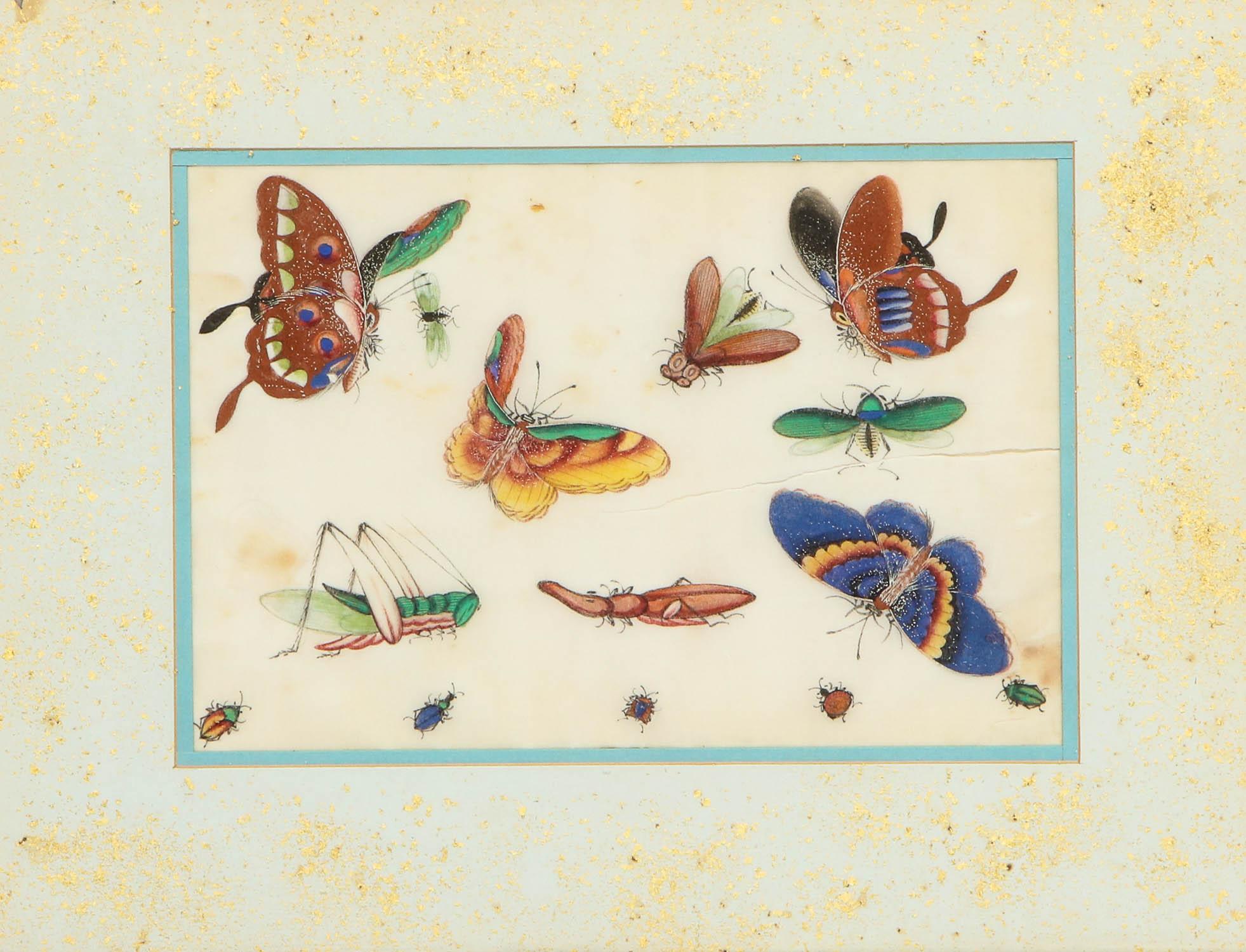 Set of Eight Chinese Rice Paper Paintings of Butterflies and Insects at