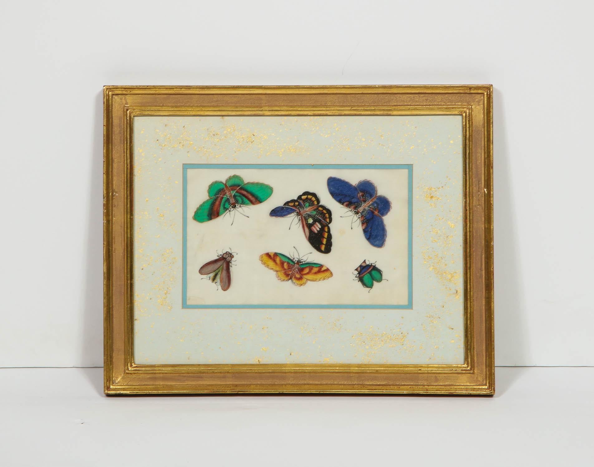 A set of eight Chinese rice paper paintings of butterflies and insects,
19th century, in giltwood frames.

Very fine quality.

Measures: 16