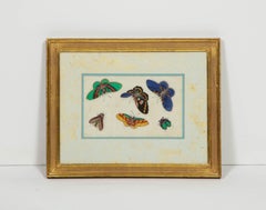 Set of Eight Chinese Rice Paper Paintings of Butterflies and Insects