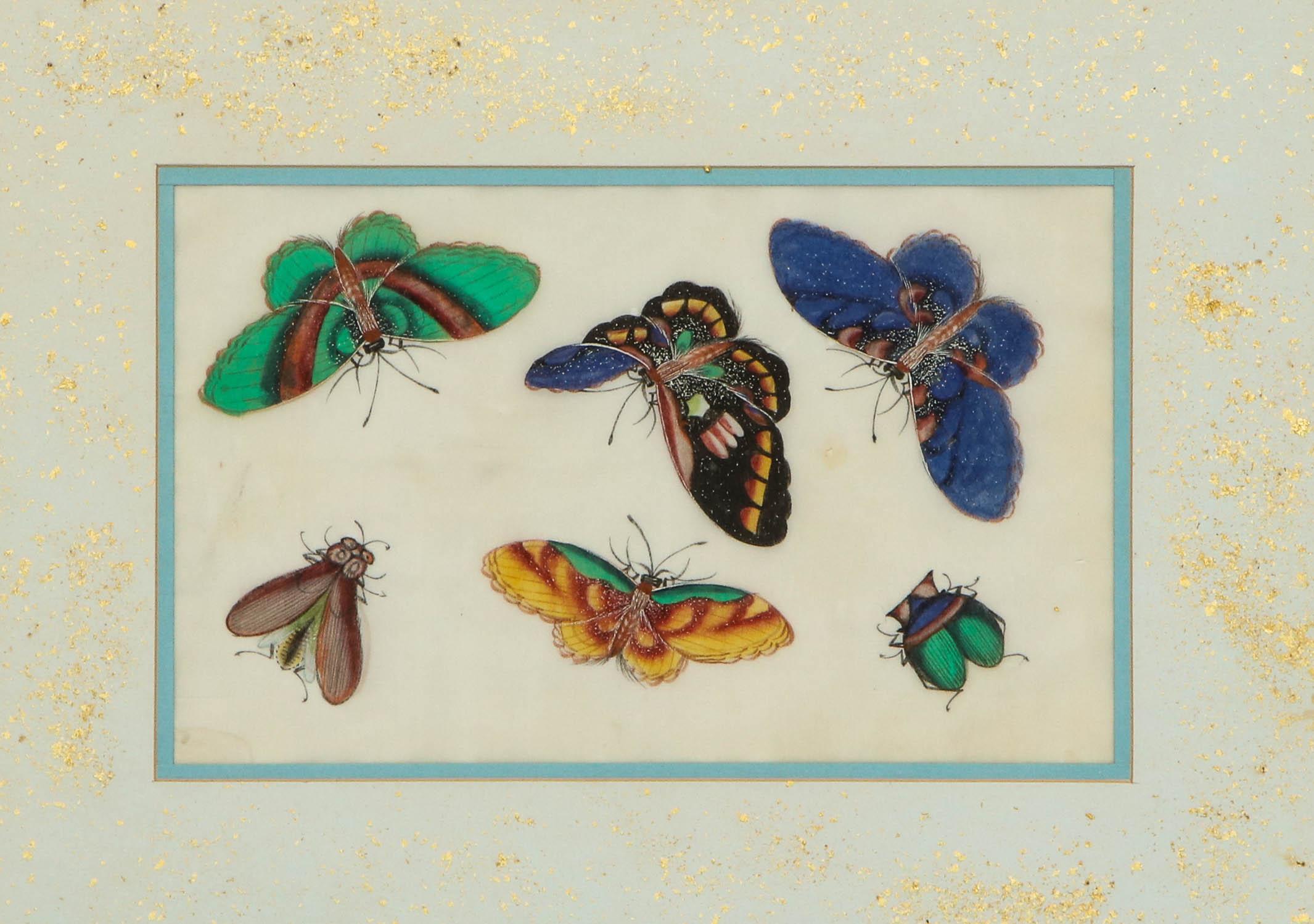 Chinese Export Set of Eight Chinese Rice Paper Paintings of Butterflies and Insects