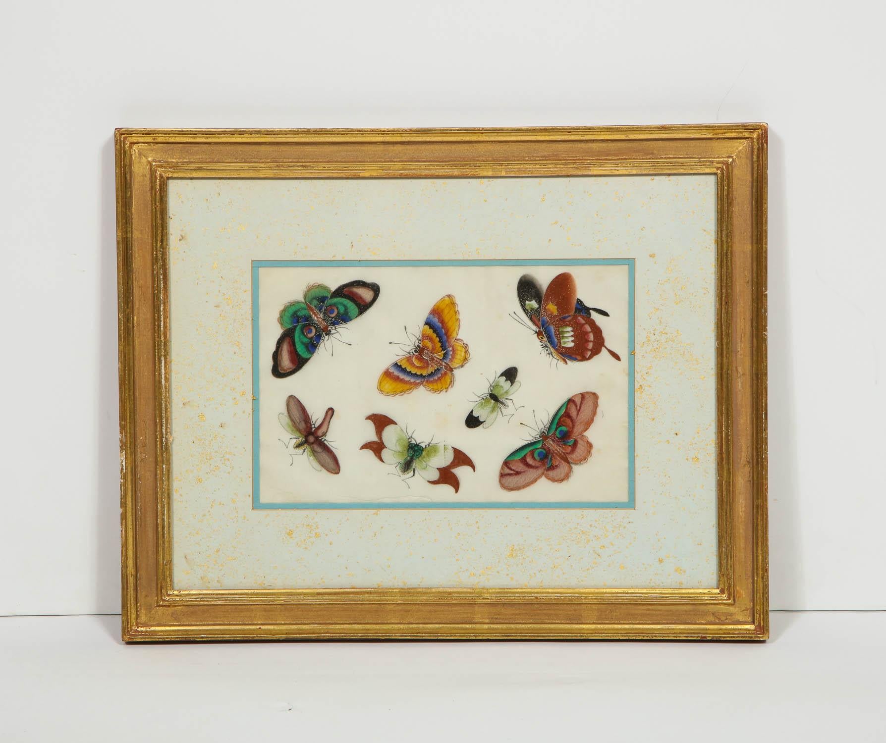 Set of Eight Chinese Rice Paper Paintings of Butterflies and Insects 1