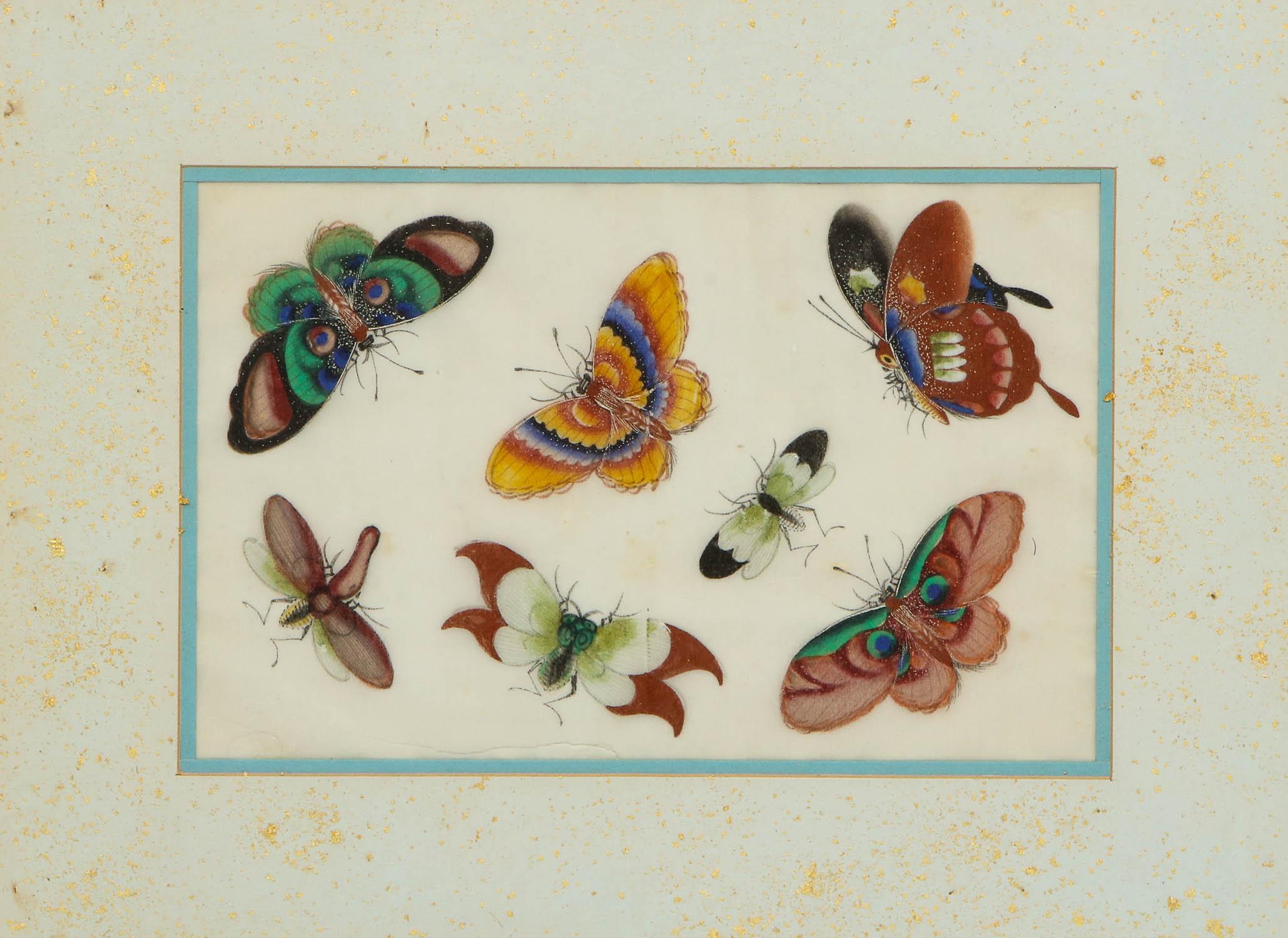 Set of Eight Chinese Rice Paper Paintings of Butterflies and Insects 2