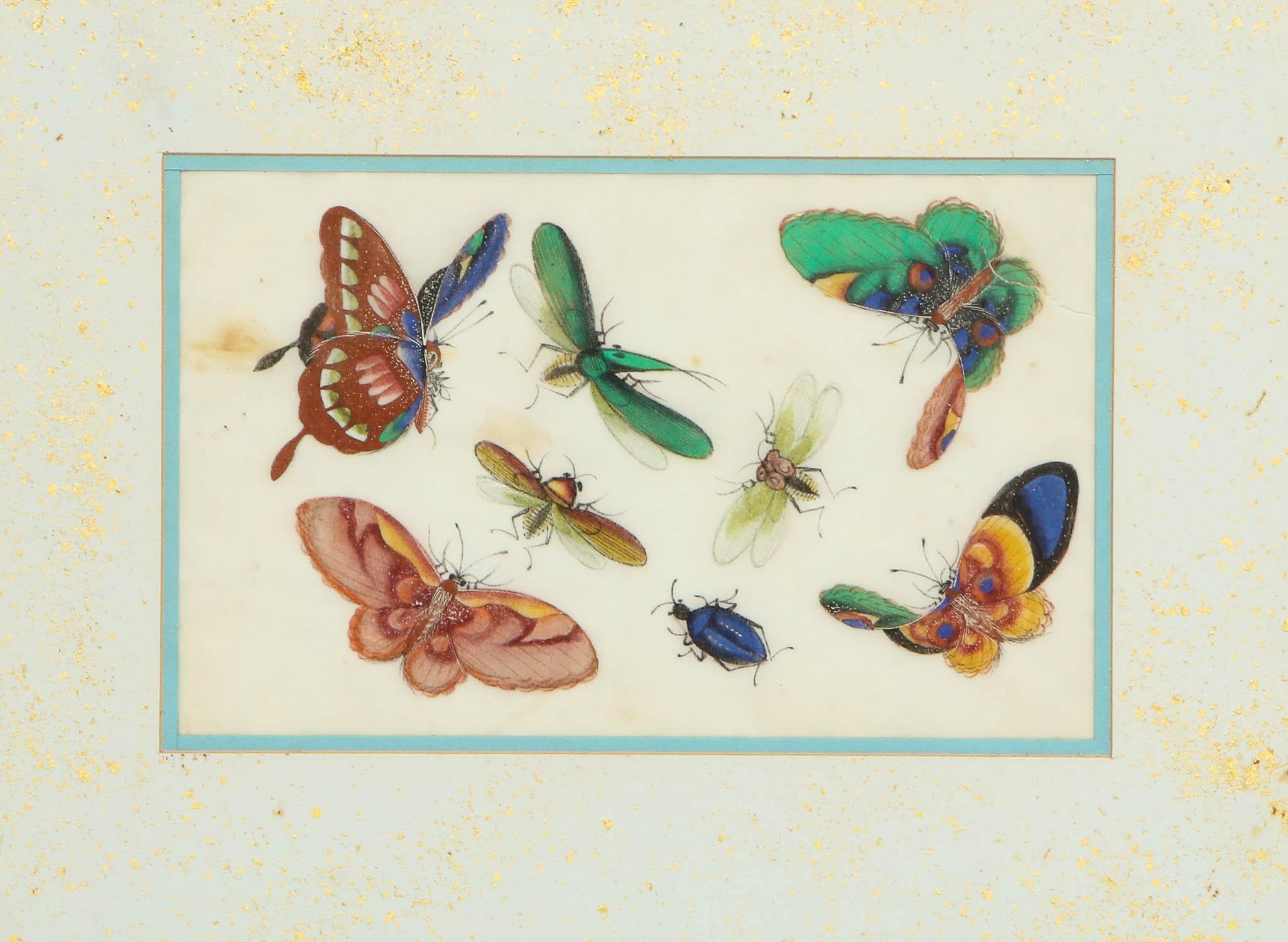 Set of Eight Chinese Rice Paper Paintings of Butterflies and Insects 4