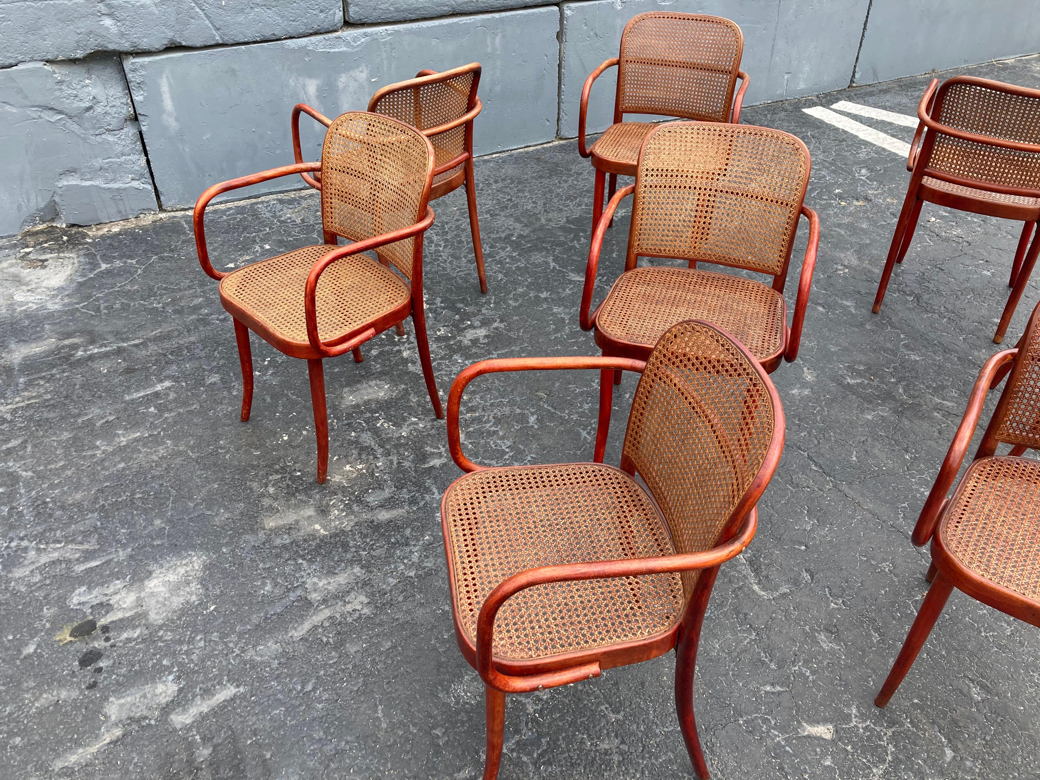 Set of Eight Dining Chairs by Josef Hoffmann, Bentwood, Red Stain, Thonet, Cane 3