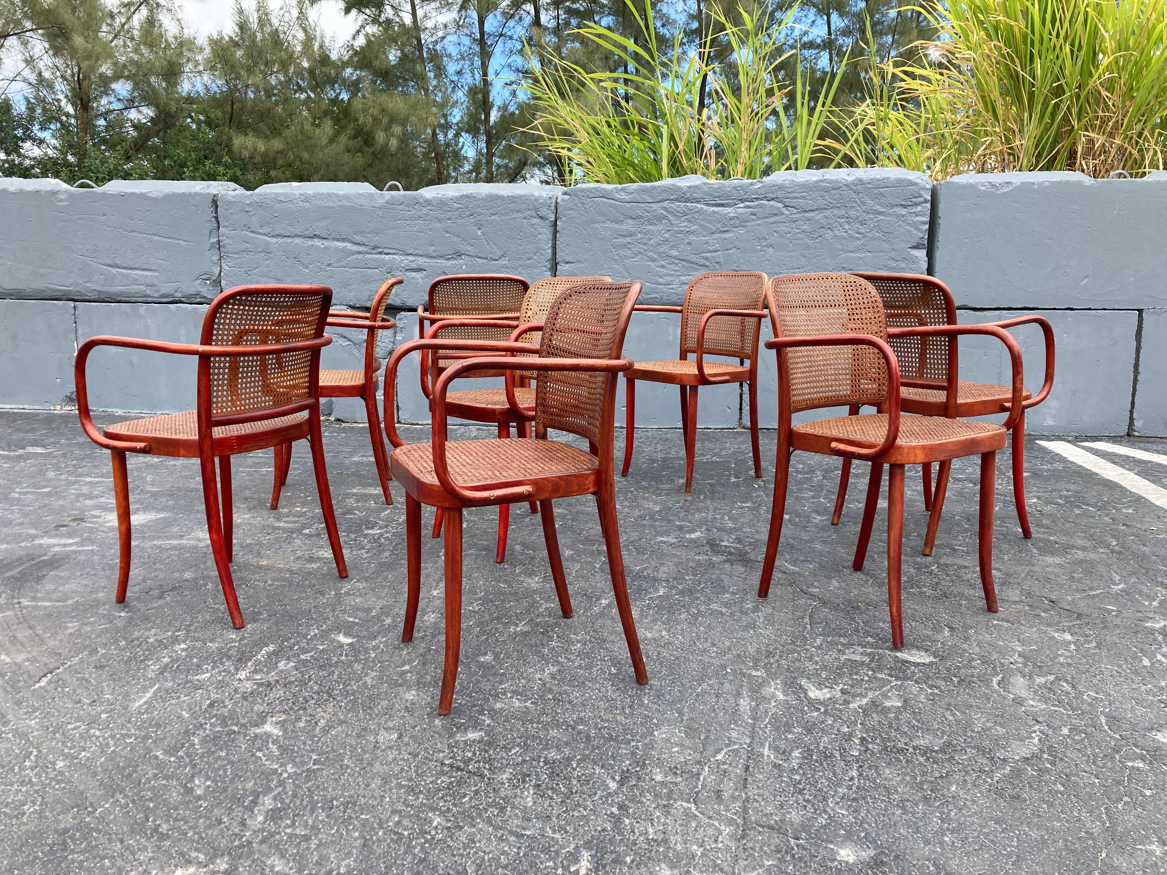 Set of Eight Dining Chairs by Josef Hoffmann, Bentwood, Red Stain, Thonet, Cane 5