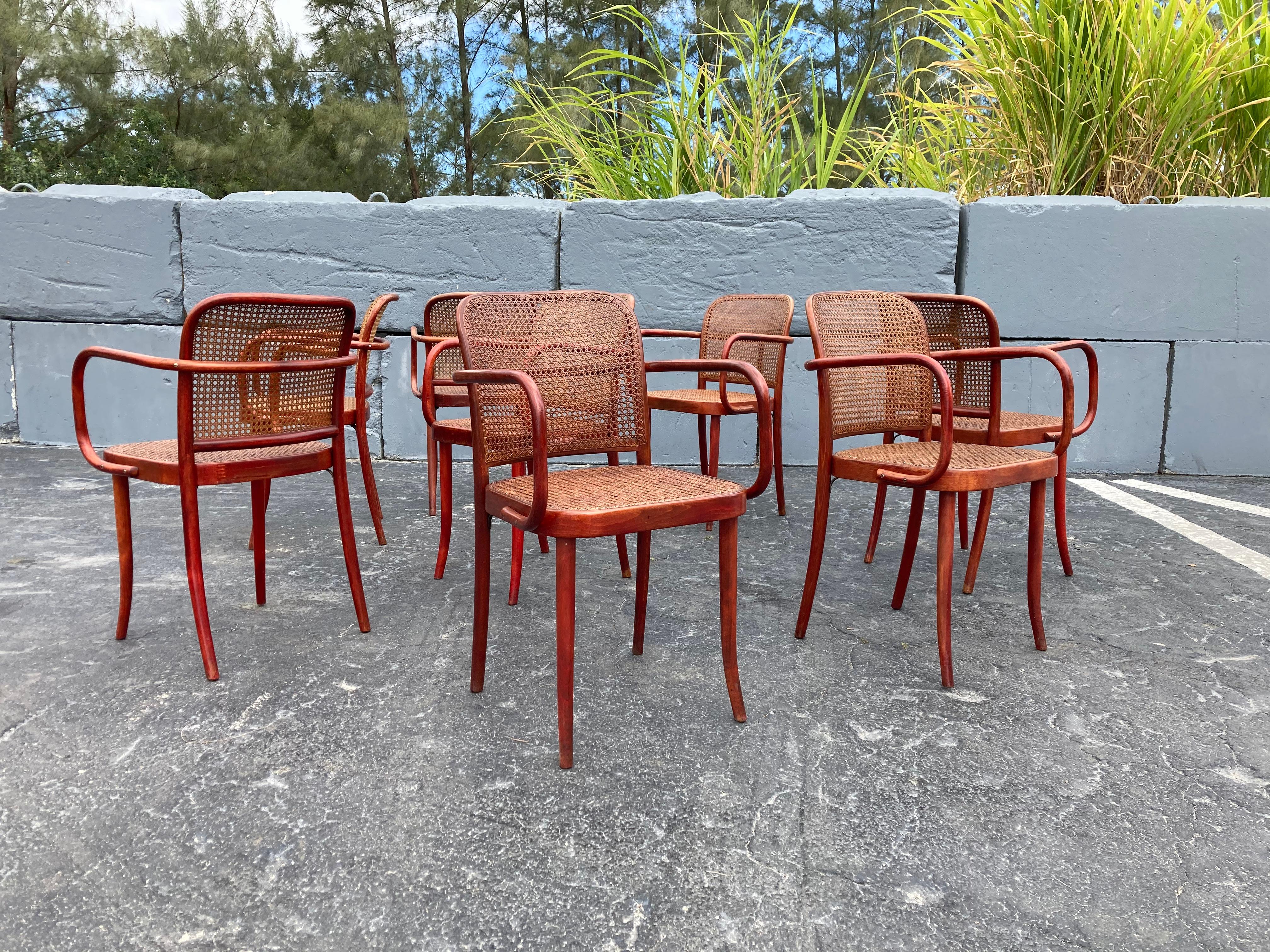 Set of Eight Dining Chairs by Josef Hoffmann, Bentwood, Red Stain, Thonet, Cane 6