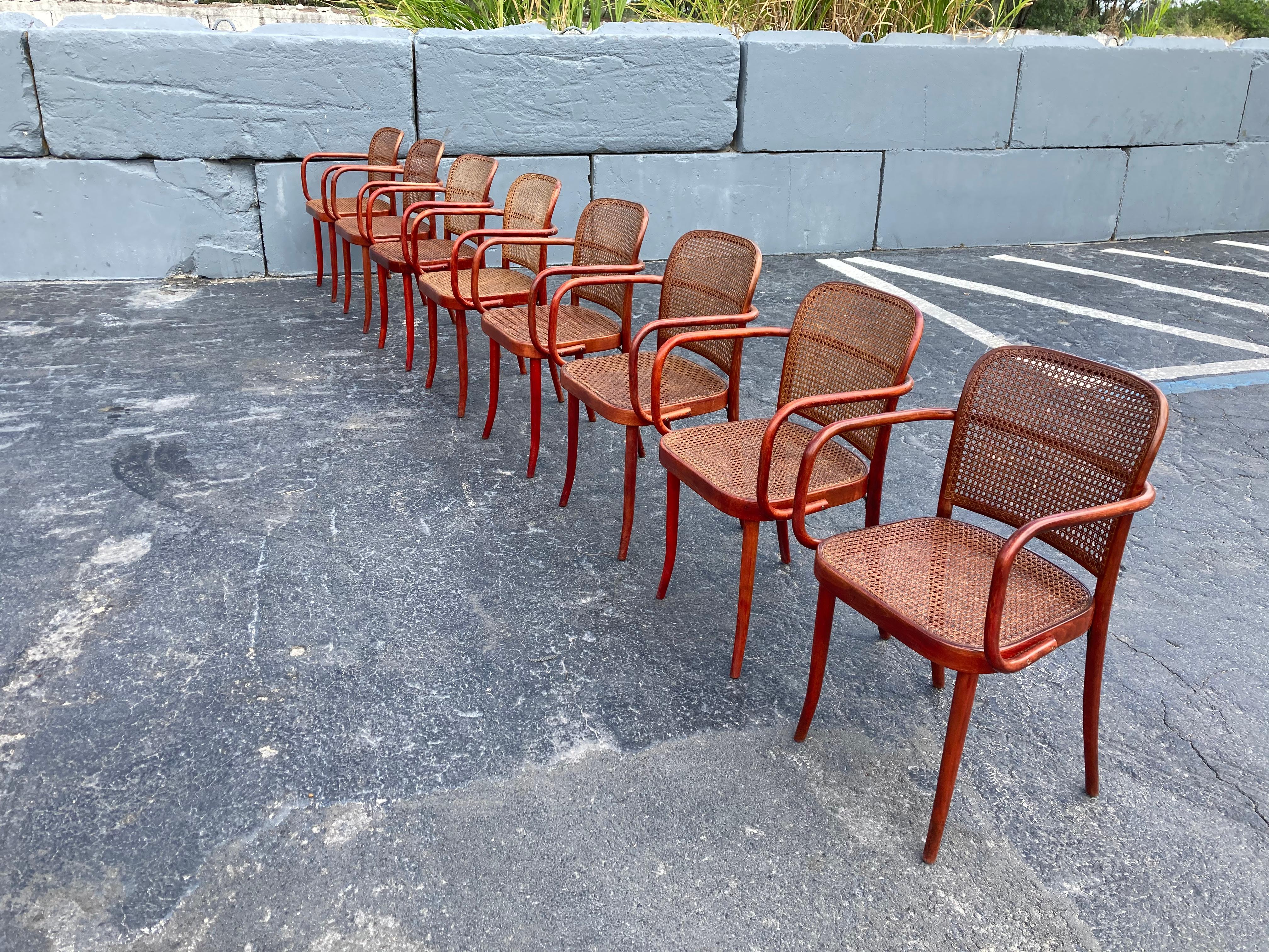 Mid-Century Modern Set of Eight Dining Chairs by Josef Hoffmann, Bentwood, Red Stain, Thonet, Cane