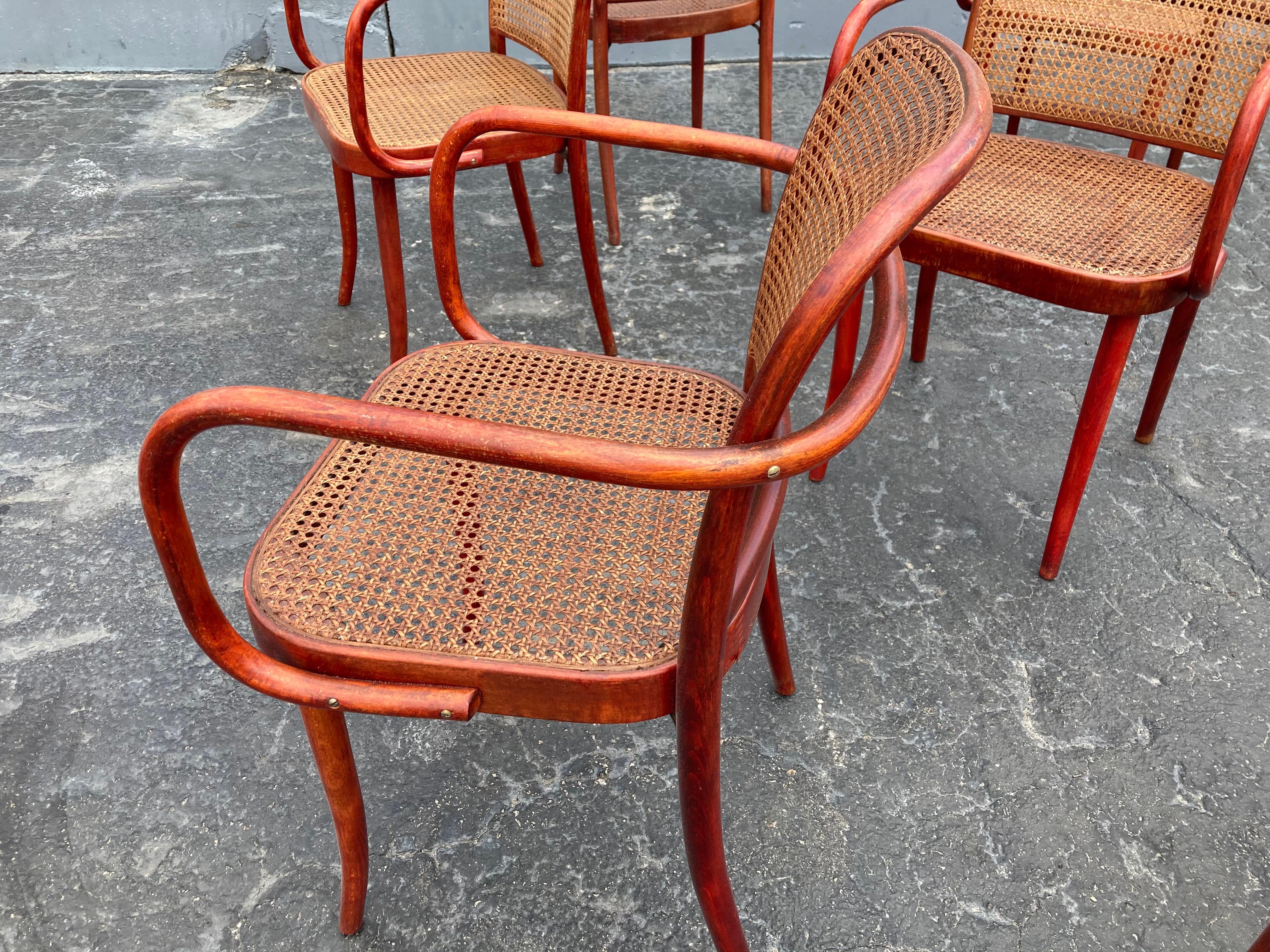 Czech Set of Eight Dining Chairs by Josef Hoffmann, Bentwood, Red Stain, Thonet, Cane