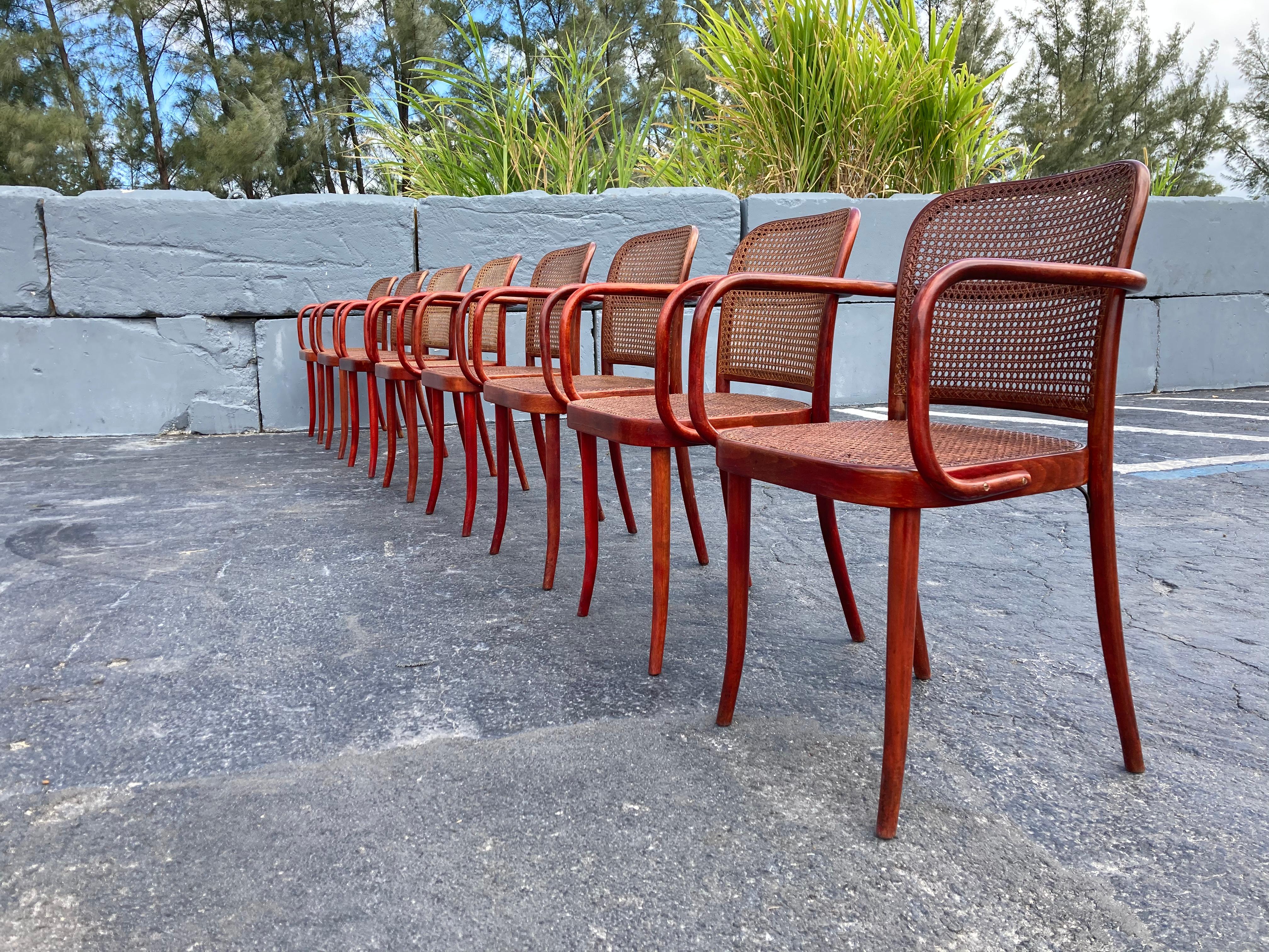 Set of Eight Dining Chairs by Josef Hoffmann, Bentwood, Red Stain, Thonet, Cane In Good Condition In Miami, FL