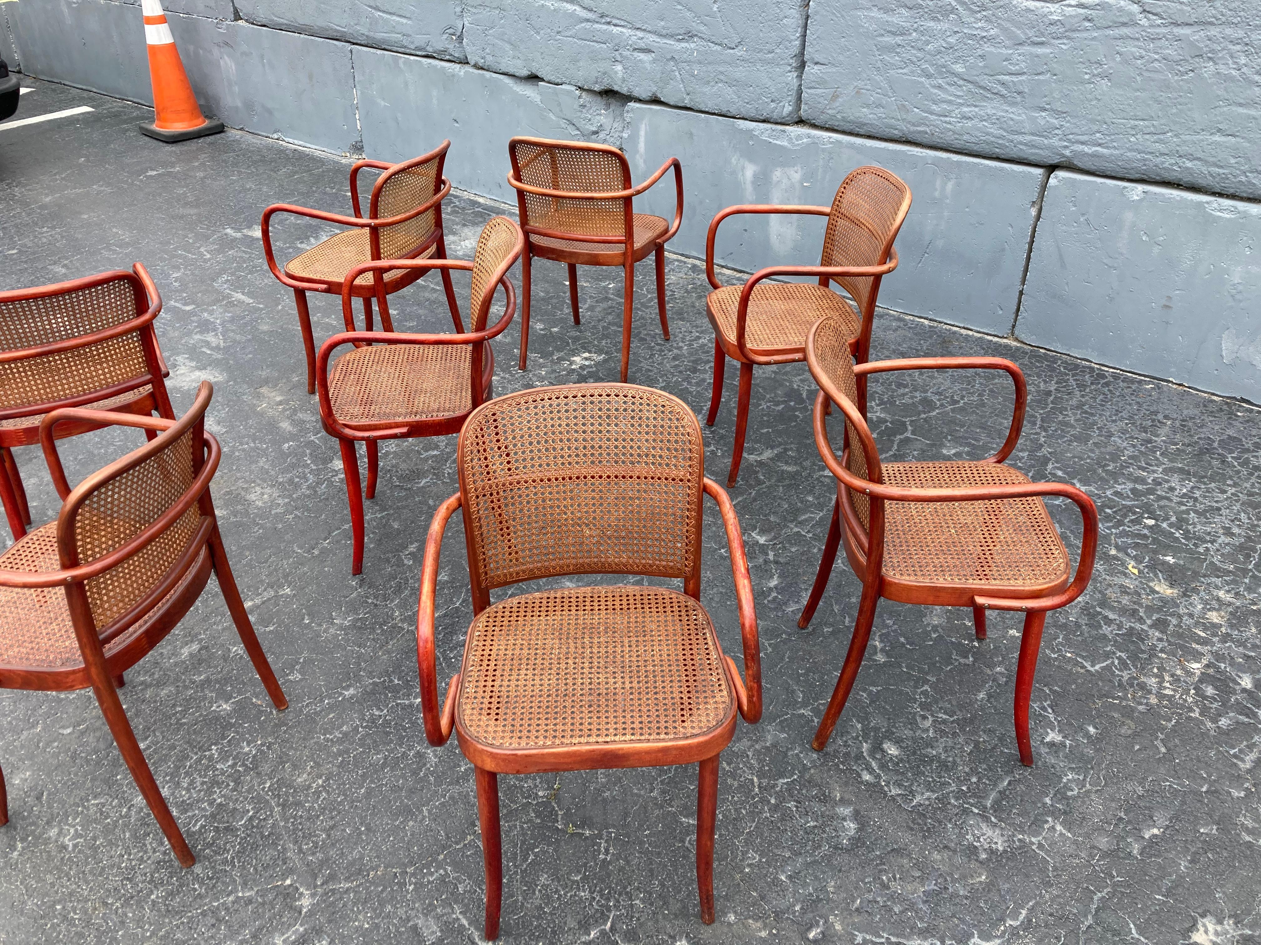 Wood Set of Eight Dining Chairs by Josef Hoffmann, Bentwood, Red Stain, Thonet, Cane