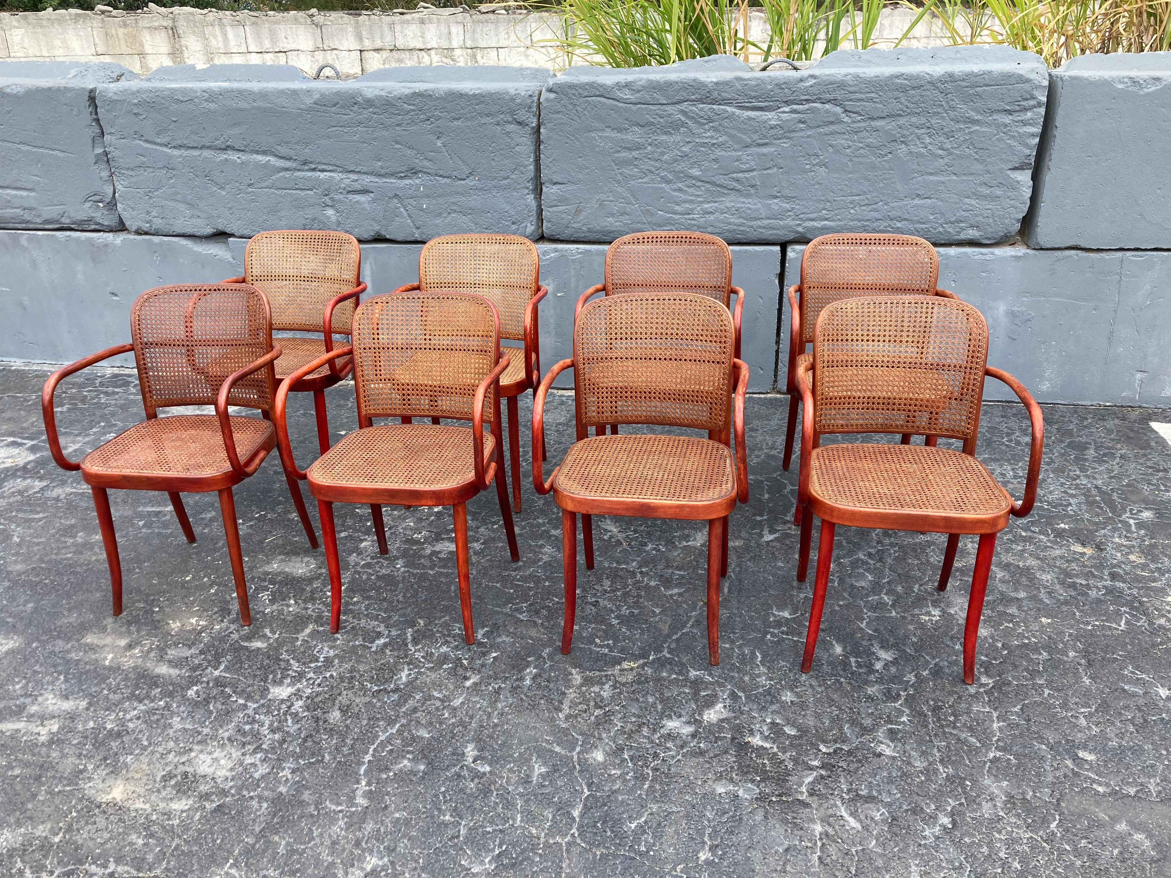 Set of Eight Dining Chairs by Josef Hoffmann, Bentwood, Red Stain, Thonet, Cane 1