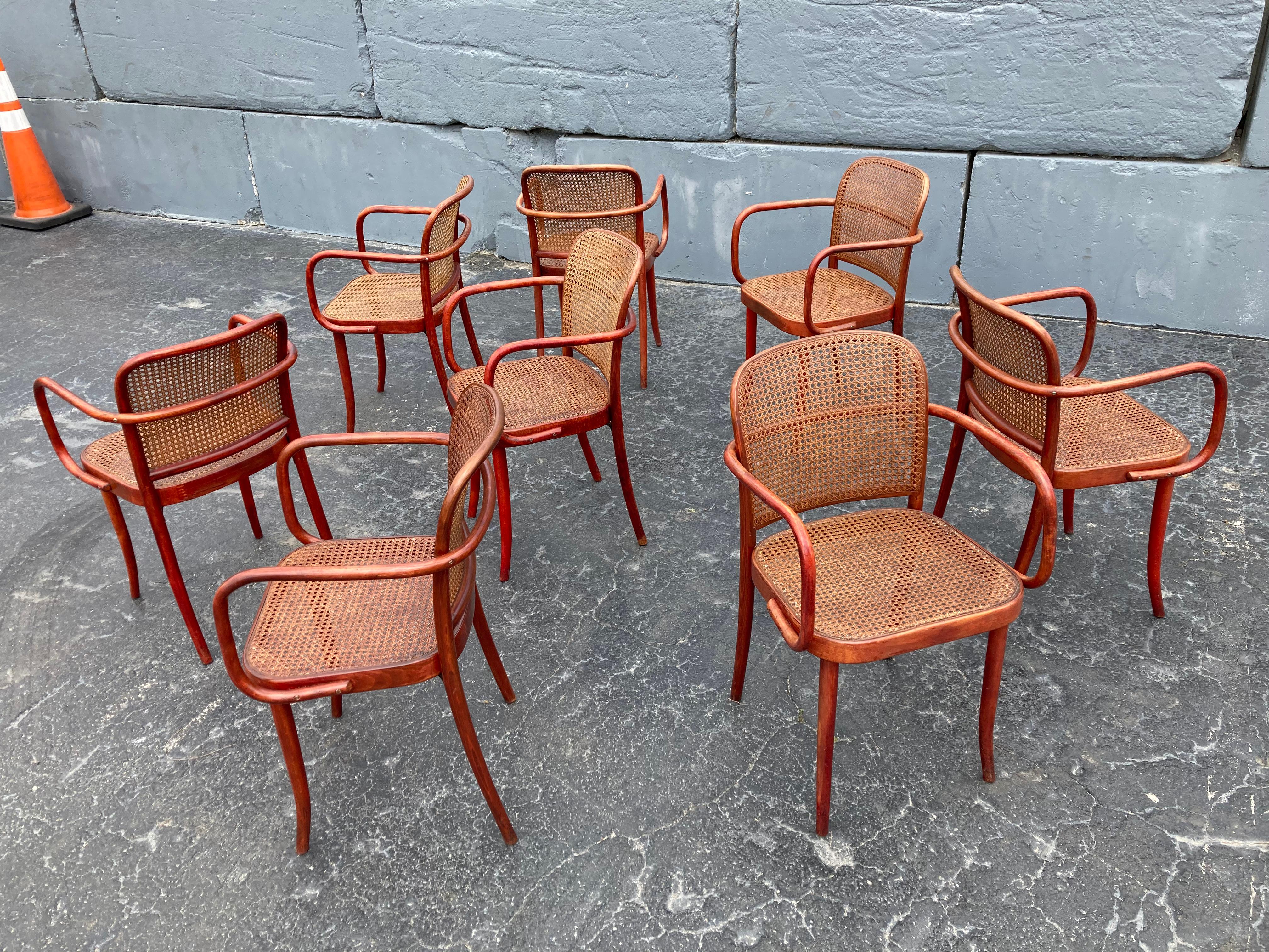Set of Eight Dining Chairs by Josef Hoffmann, Bentwood, Red Stain, Thonet, Cane 2