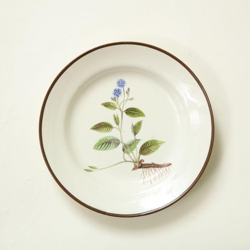 Ensemble de huit assiettes à dessert botaniques en porcelaine anglaise en vente 3