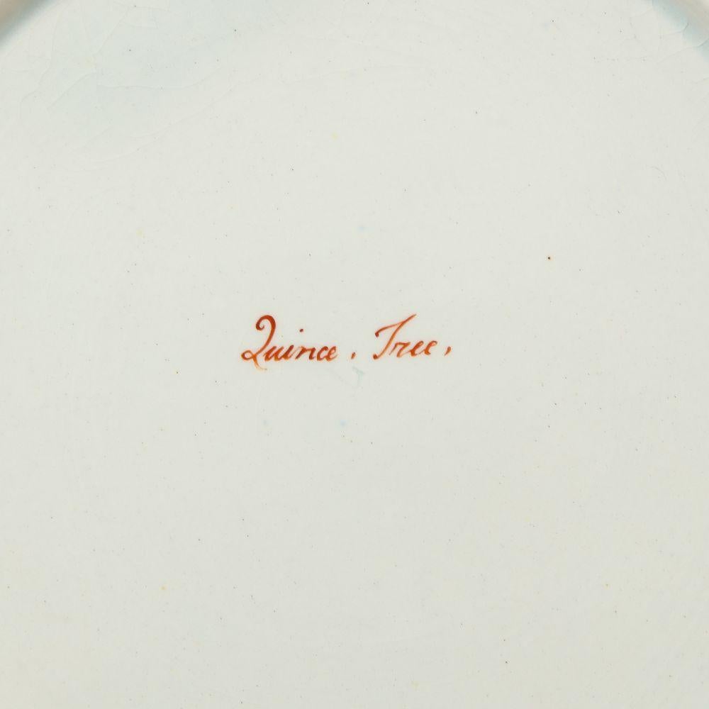 Ensemble de huit assiettes à dessert botaniques en porcelaine anglaise en vente 5