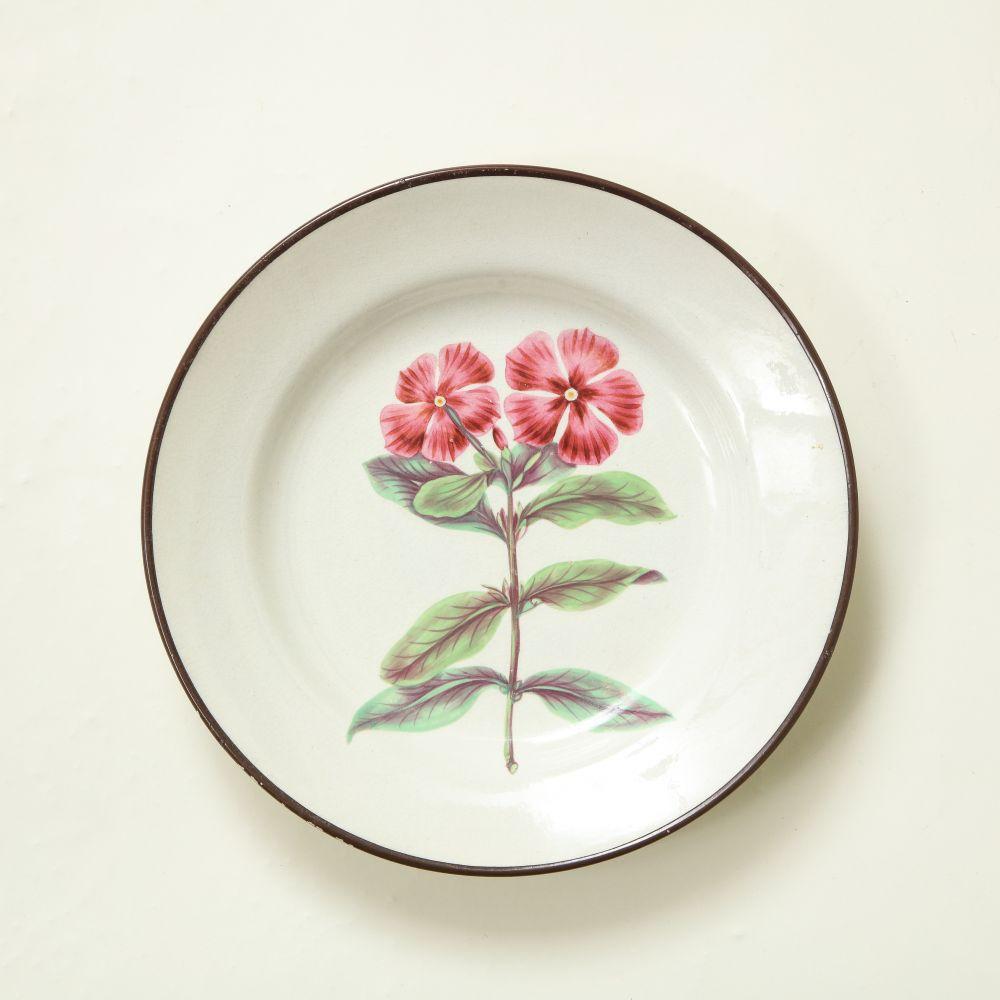 XIXe siècle Ensemble de huit assiettes à dessert botaniques en porcelaine anglaise en vente