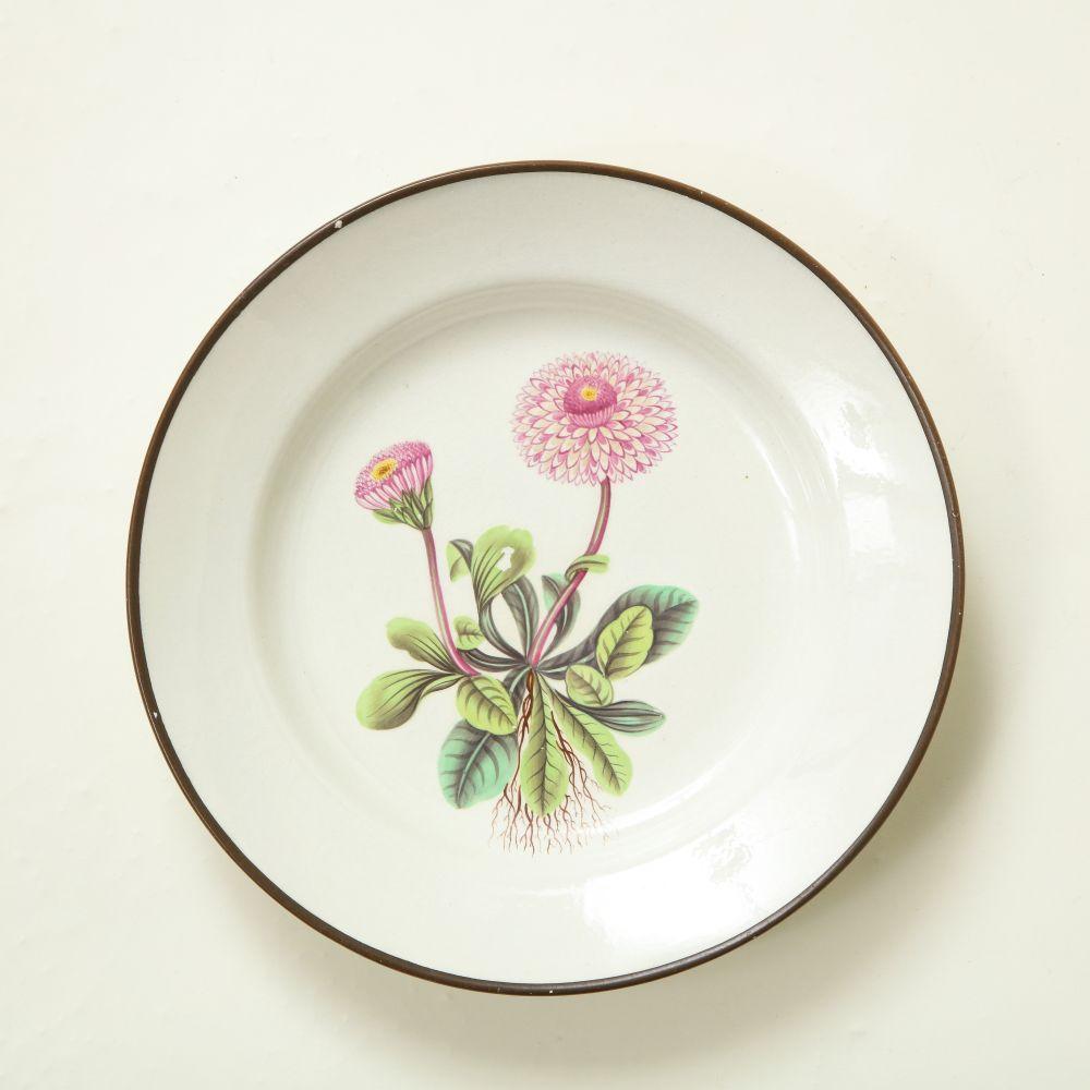 Ensemble de huit assiettes à dessert botaniques en porcelaine anglaise en vente 1