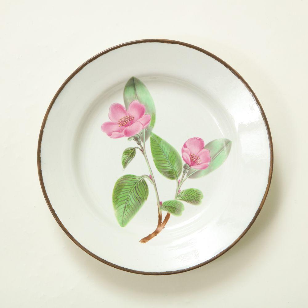 Ensemble de huit assiettes à dessert botaniques en porcelaine anglaise en vente 2