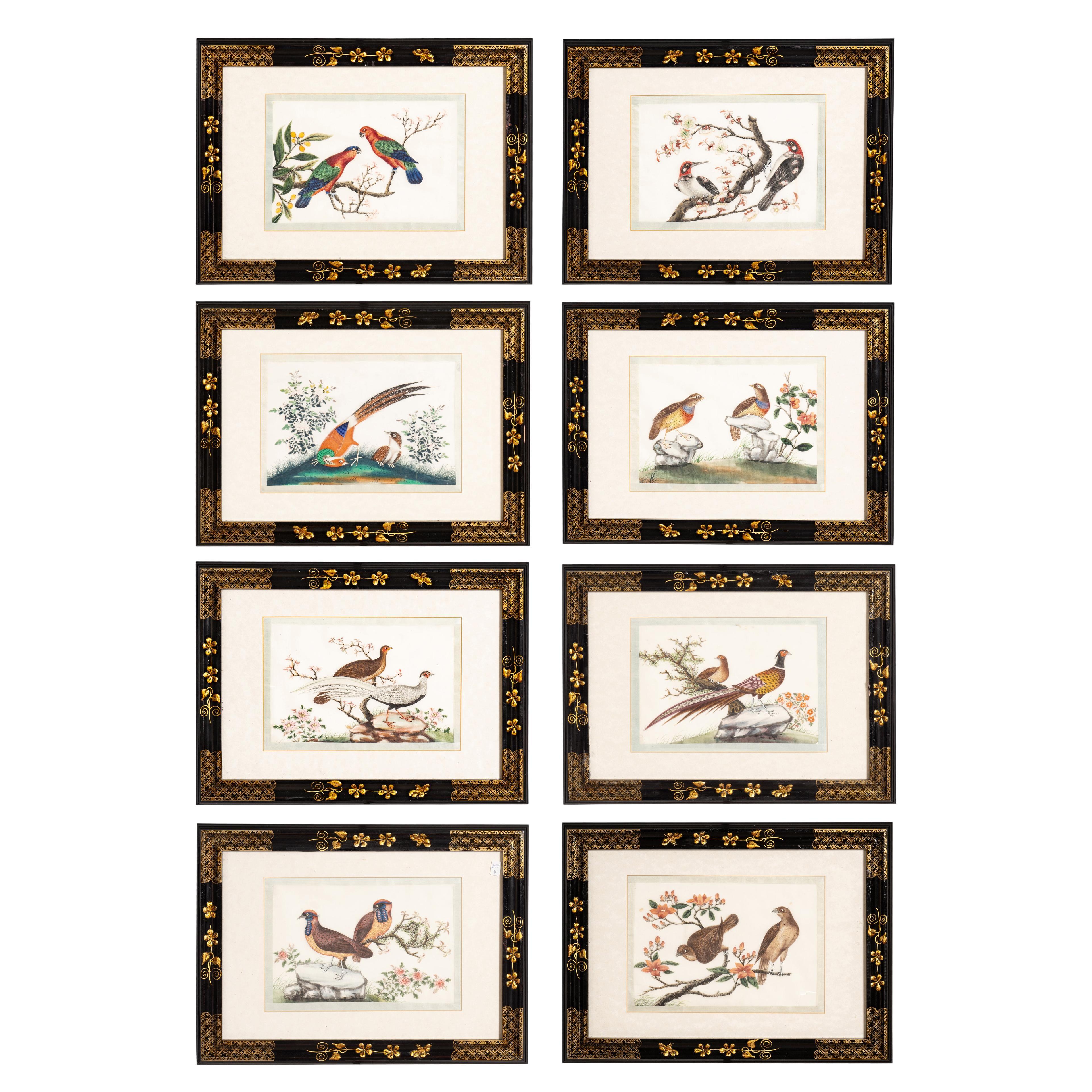 Set Of Eight Framed Chinese Export Pith Paper Watercolors Of Birds