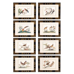 Set von acht gerahmten chinesischen Exportkissenpapier-Aquarelle von Vögeln mit Vogelmotiven