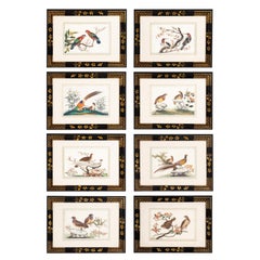 Antique Set Of Eight Framed Chinese Export Pith Paper Watercolors Of Birds